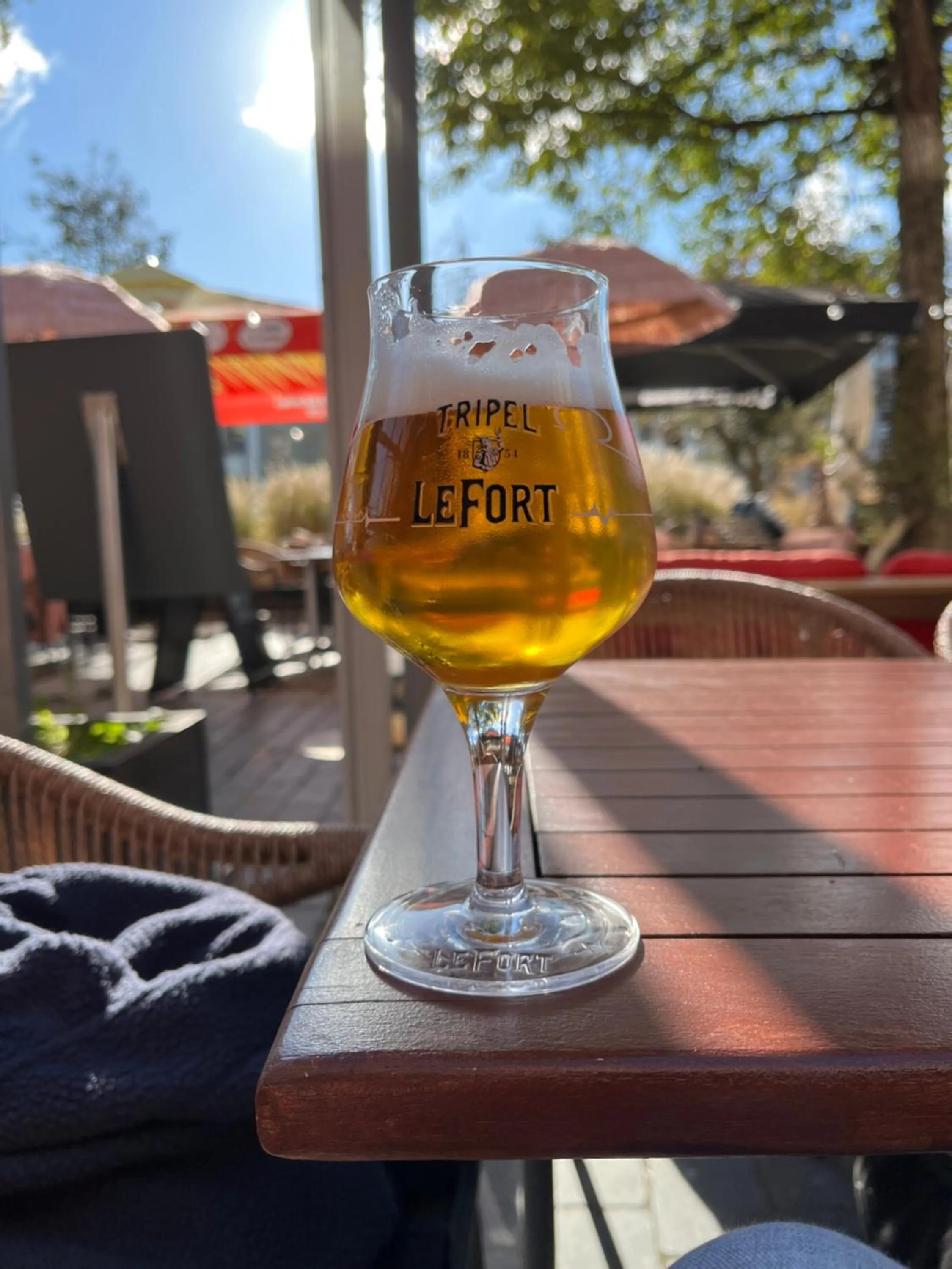 Garden in B&B Zee van Tijd Domburg