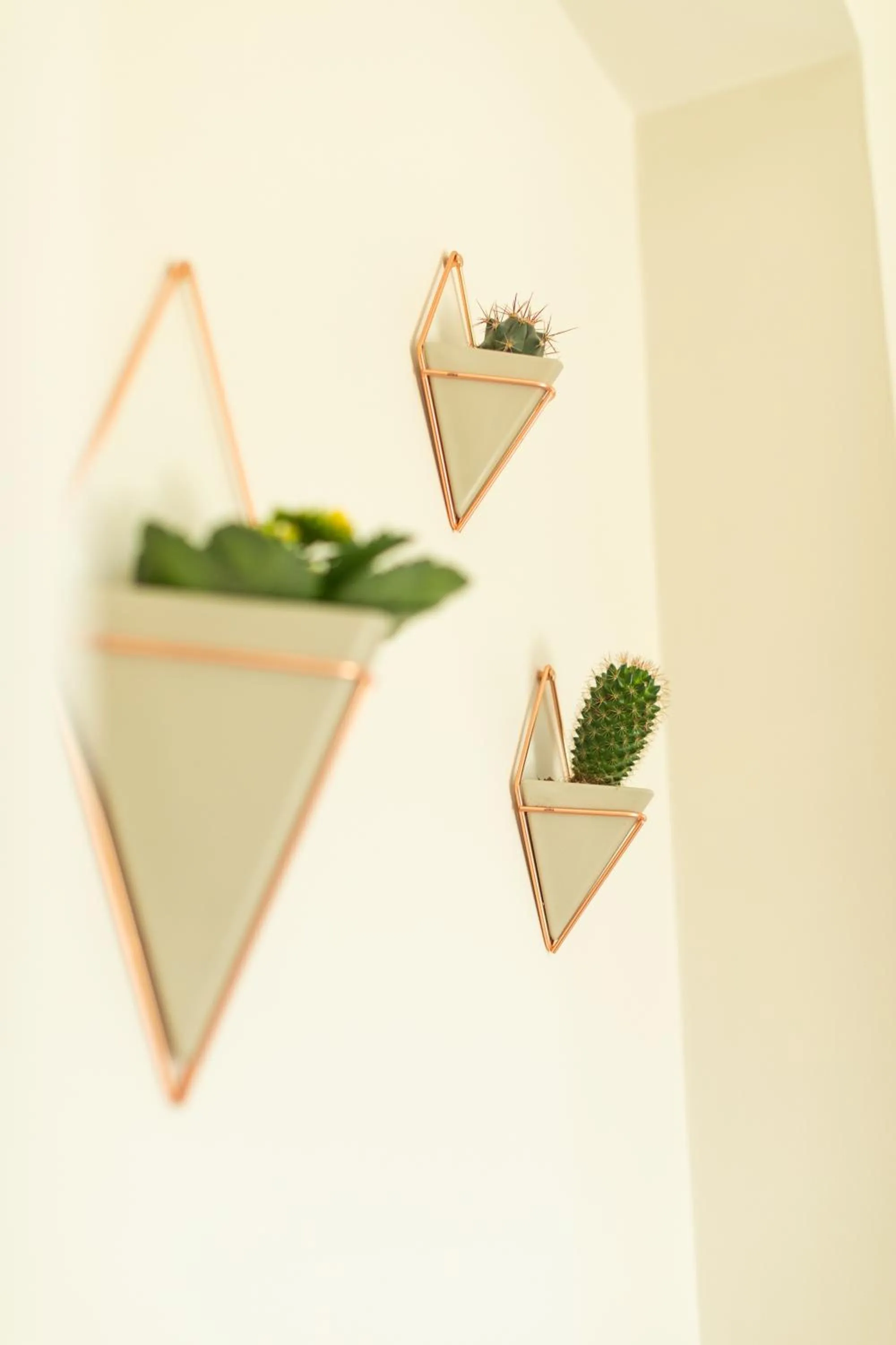 Decorative detail in Viesthouse B&B