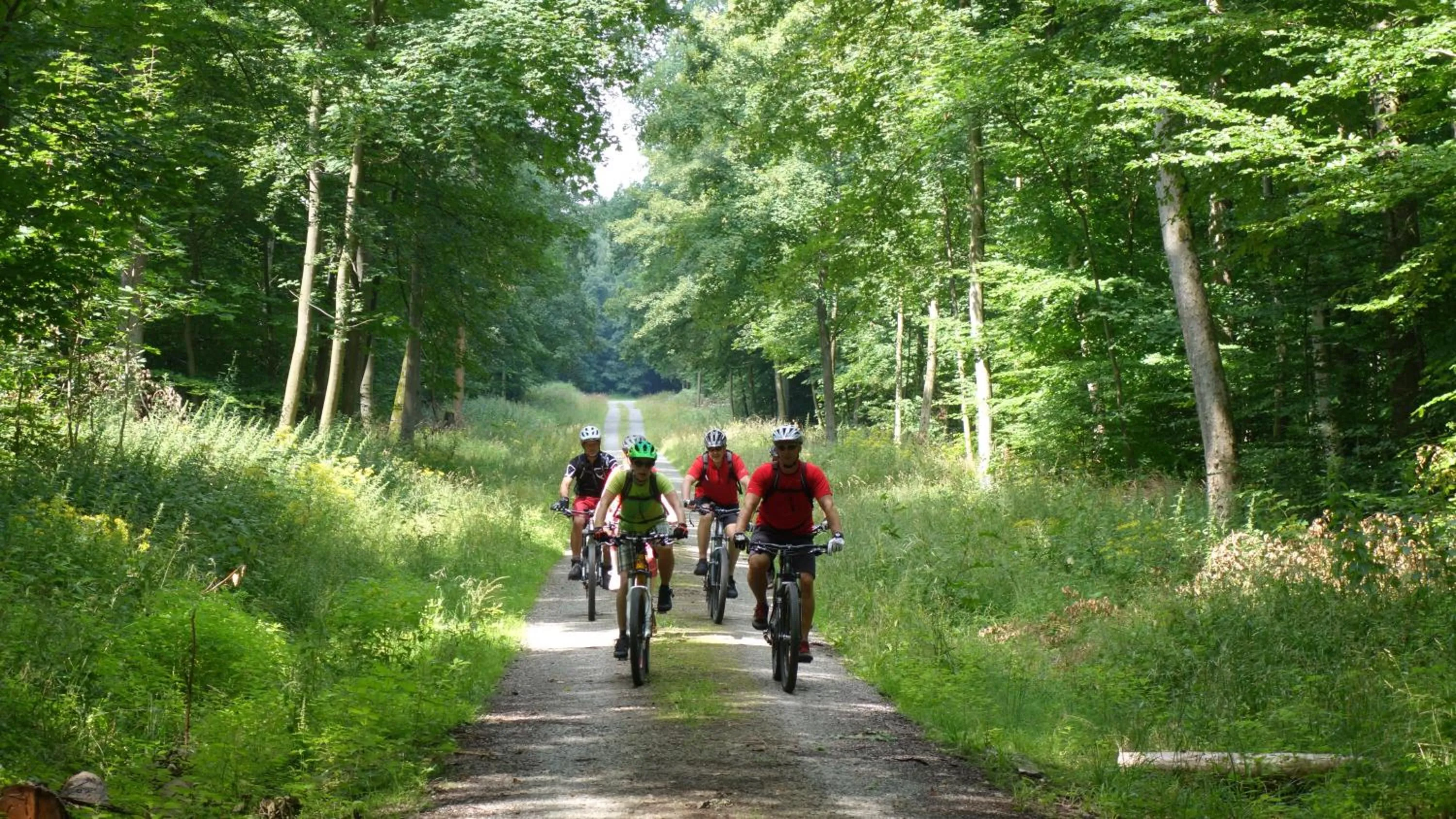 Landgasthaus & Hotel Lindenhof
