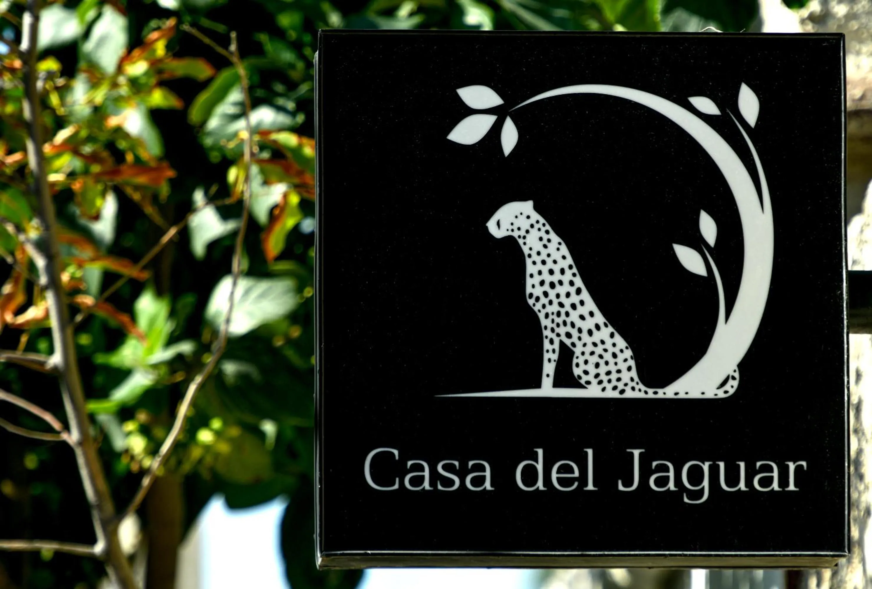 Property logo or sign in Casa del Jaguar Beach Hotel