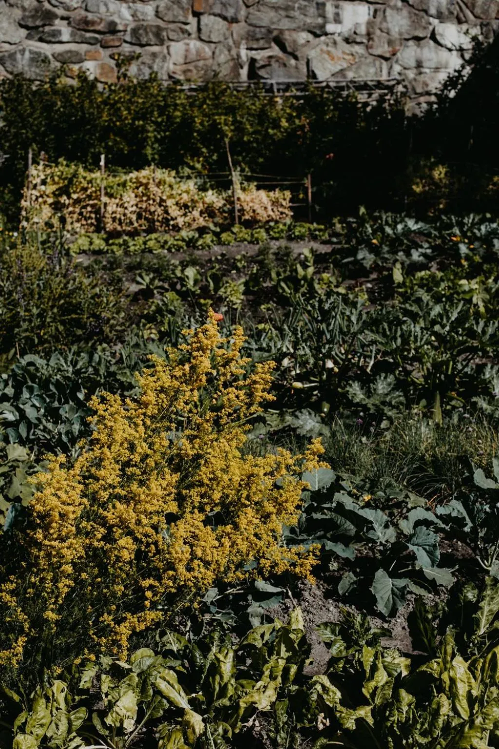 Off site in Hotel Hinteregger