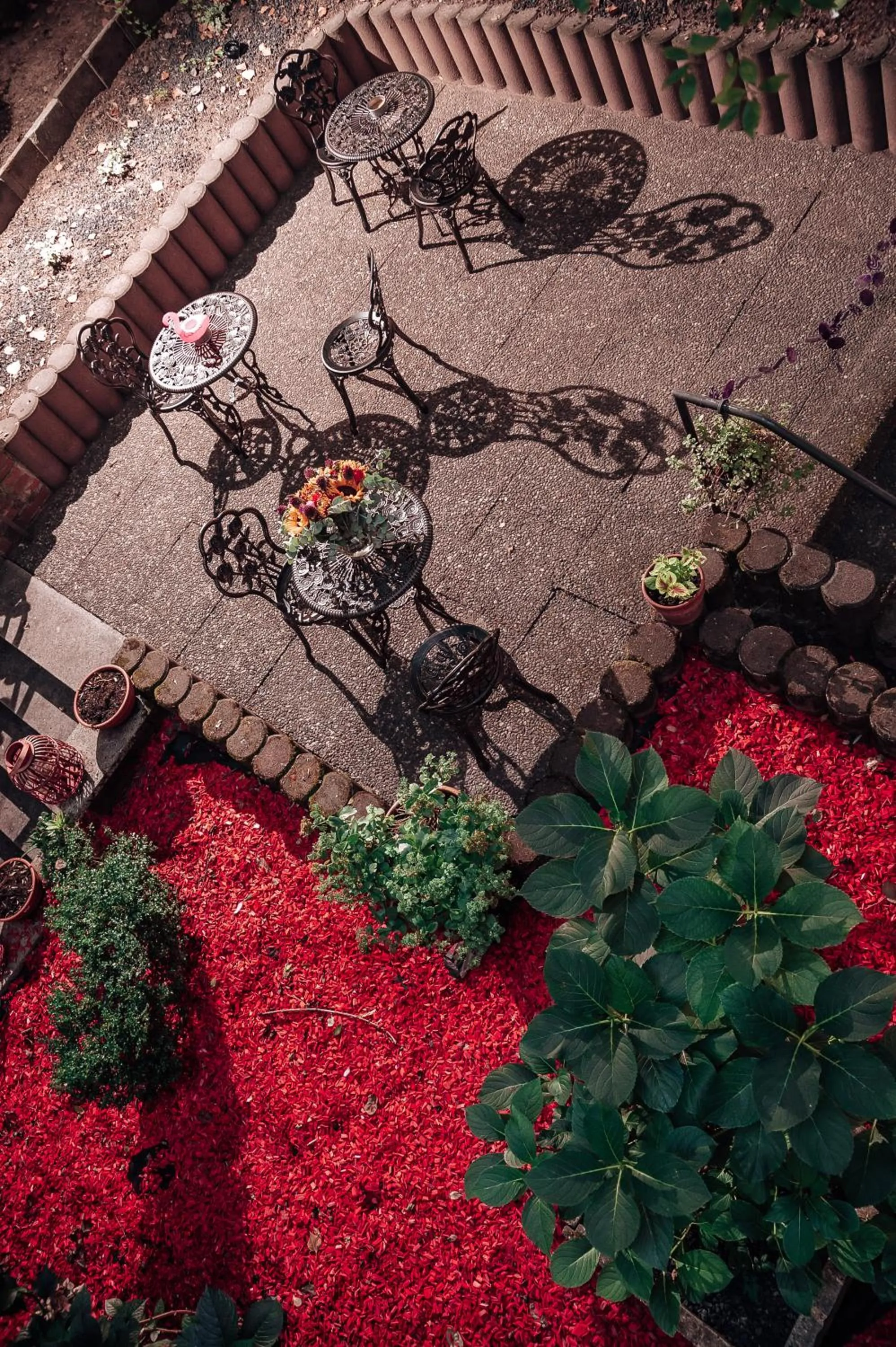 Garden in SmartHotel Flamingo Self check-in