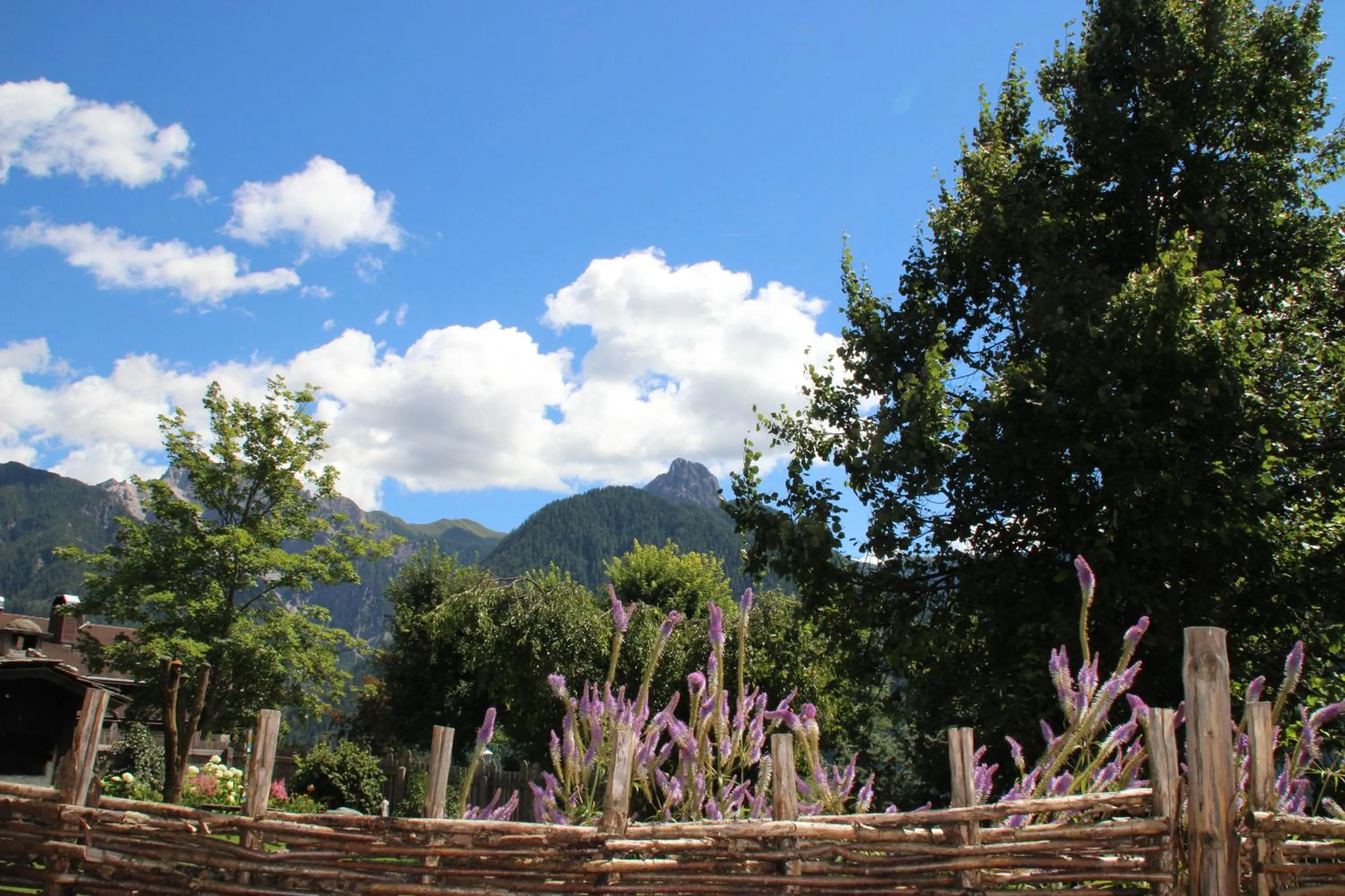 Garden in Hotel Pfleger