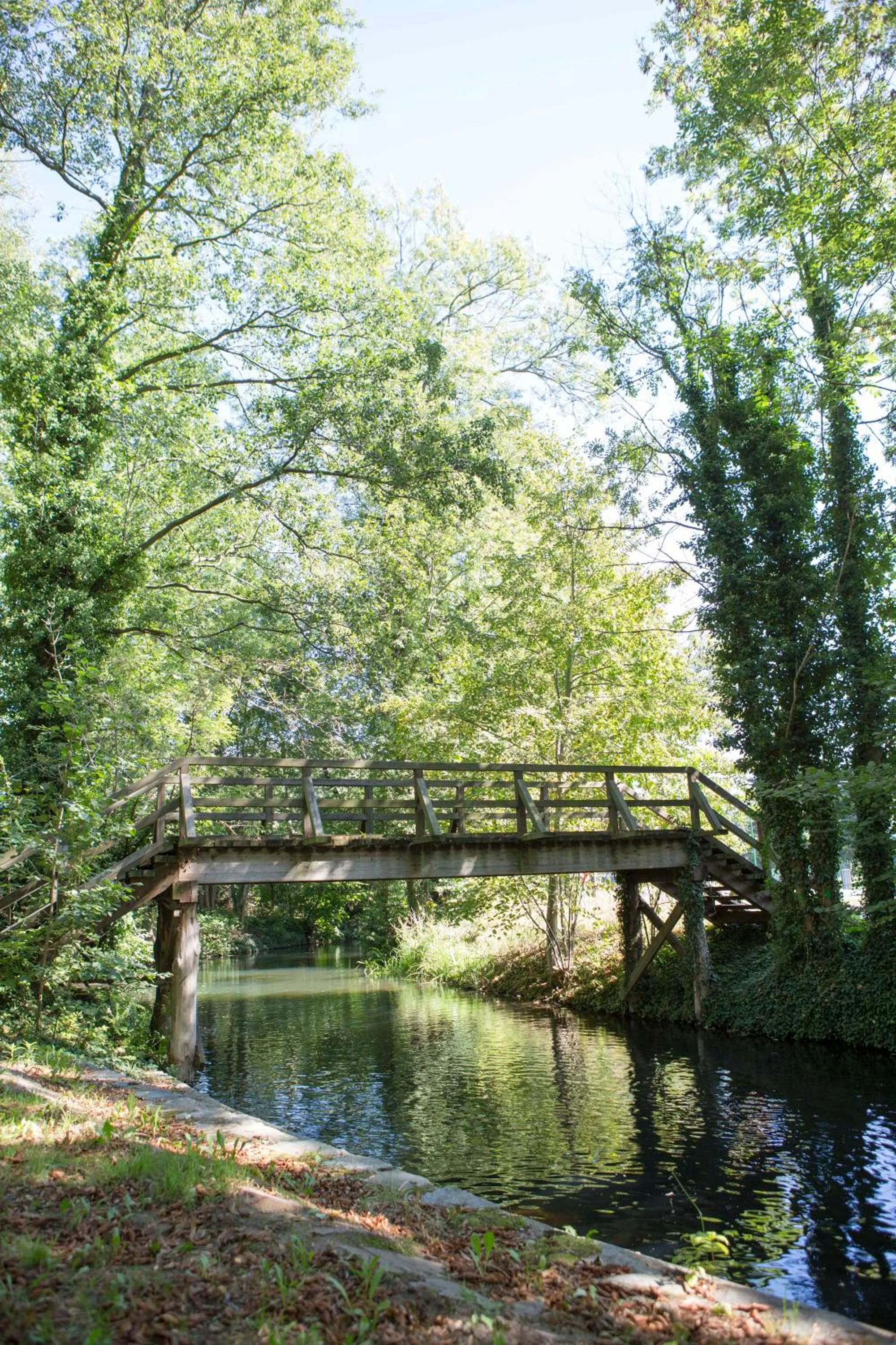 Day in Hotel Kolonieschänke