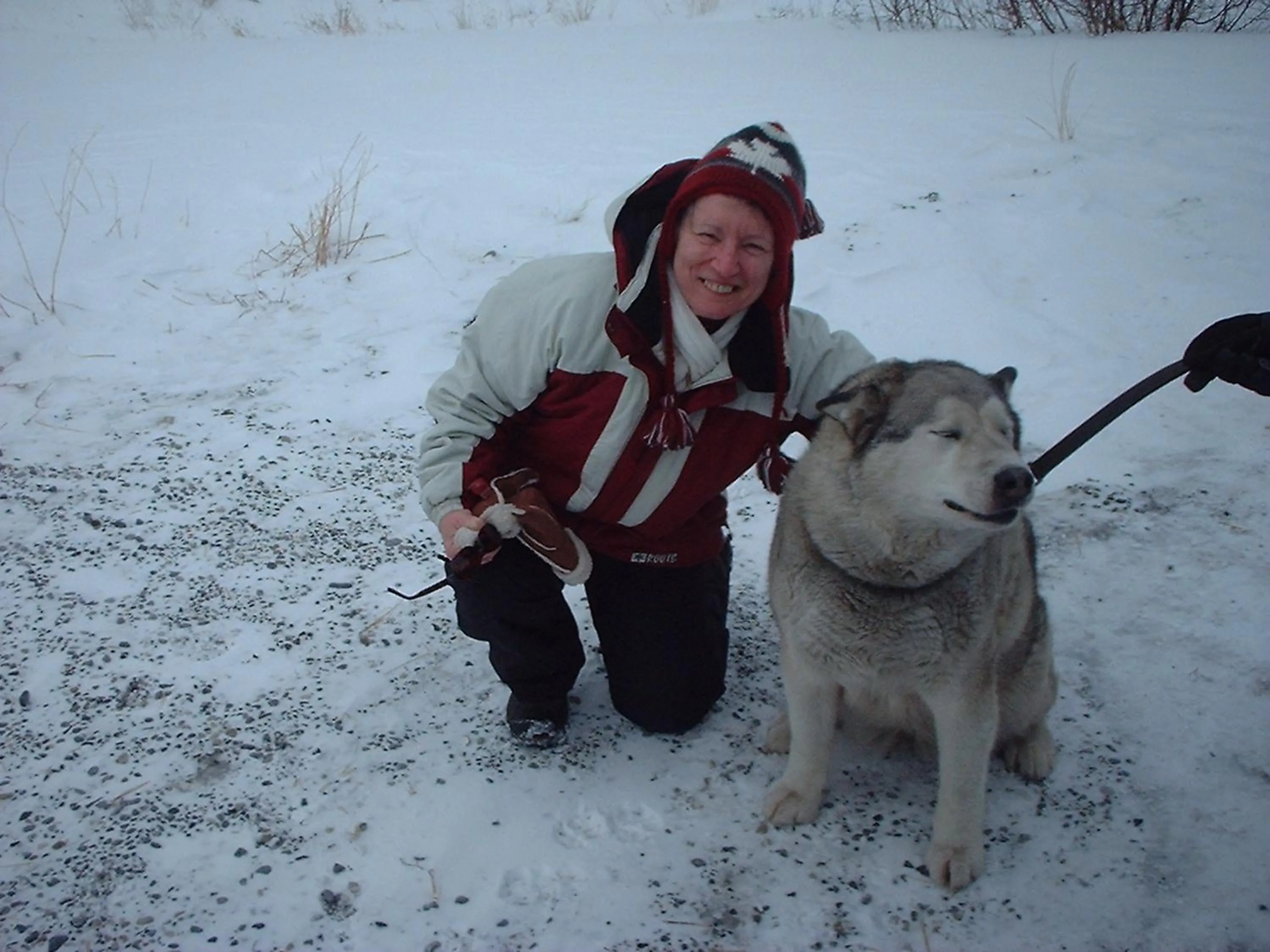 People in Apartment 411, Antique Heritage