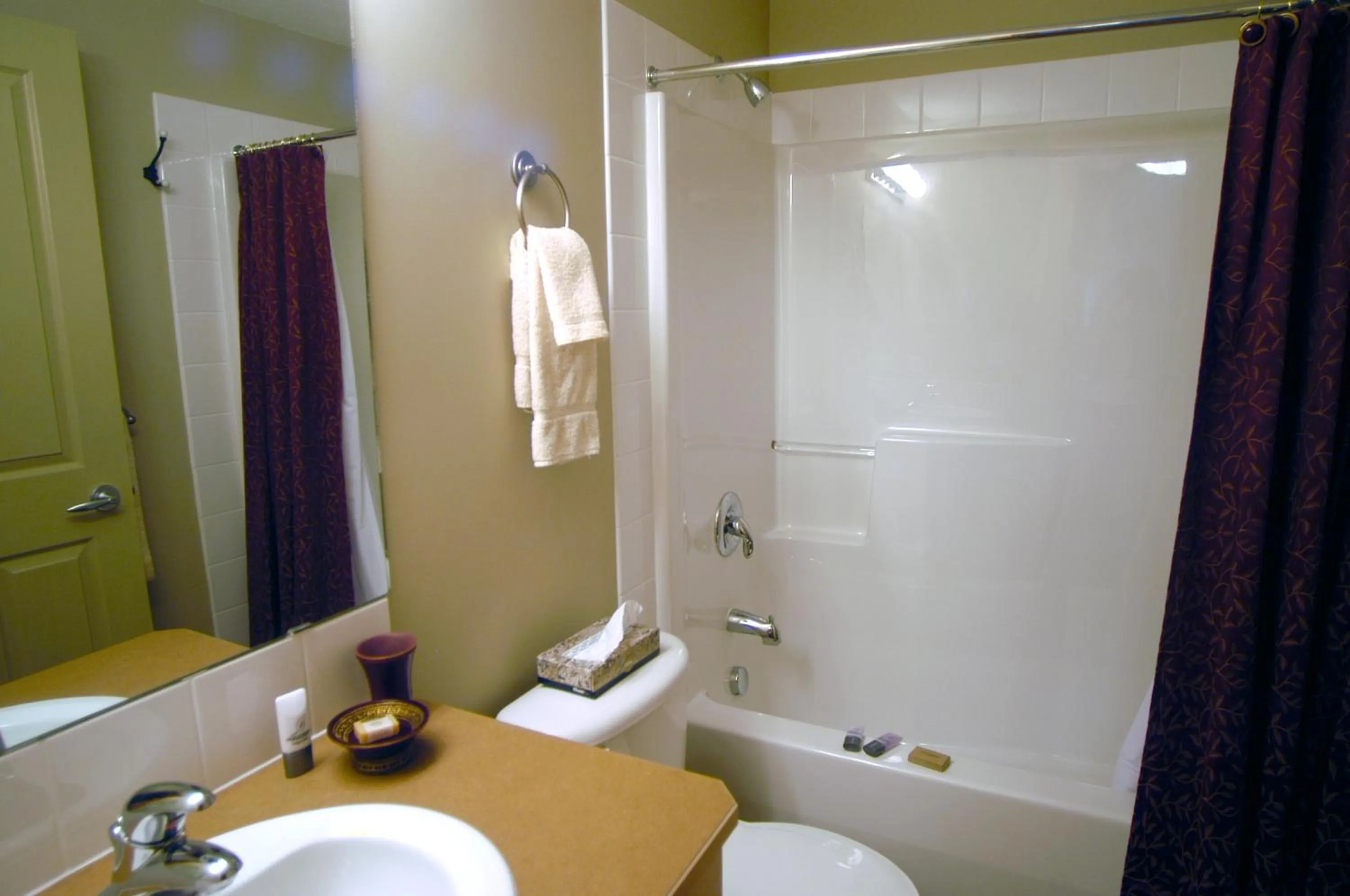 Bathroom in Apartment 411, Antique Heritage