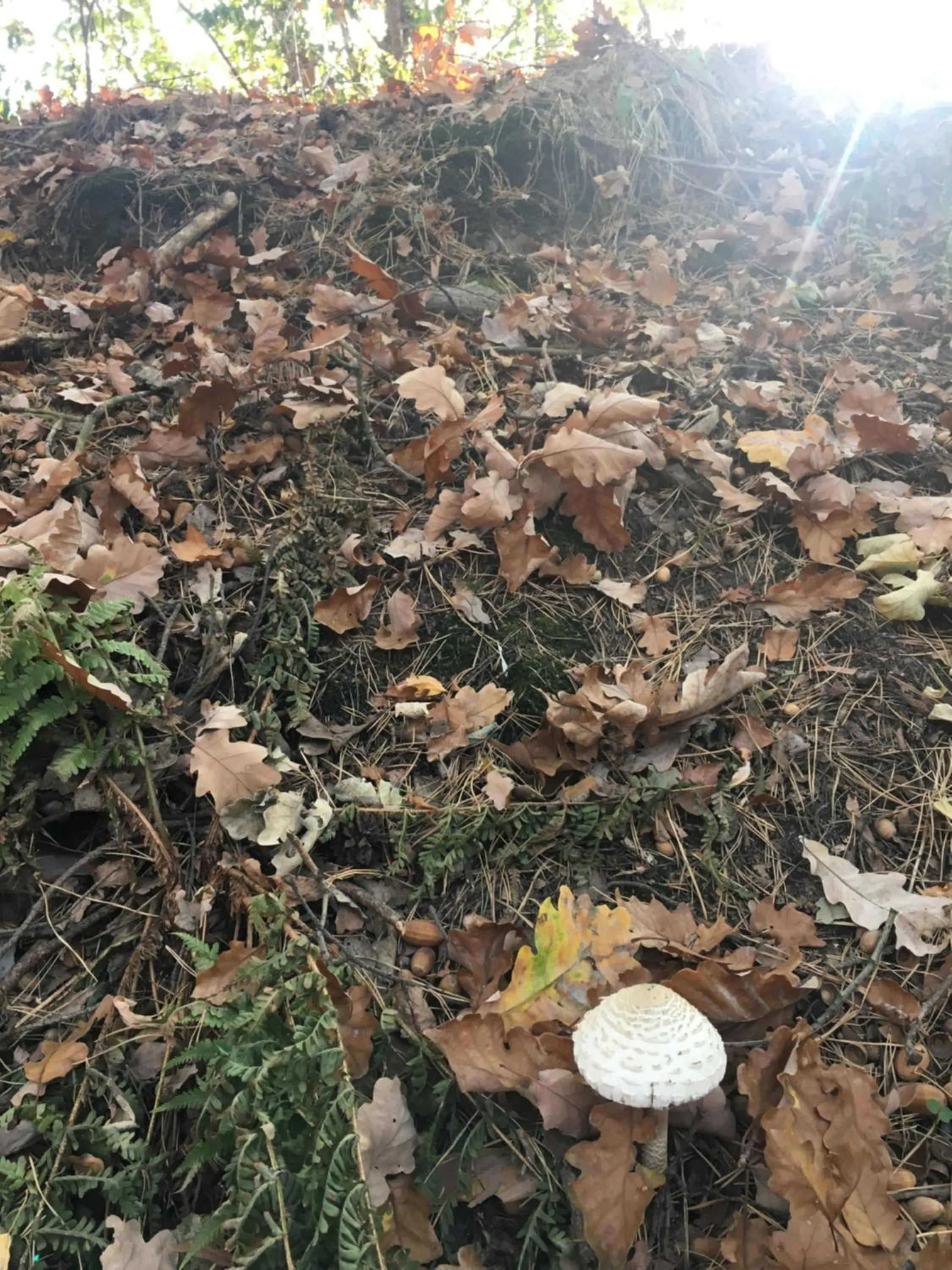 Day in Hotel Prinz Albrecht