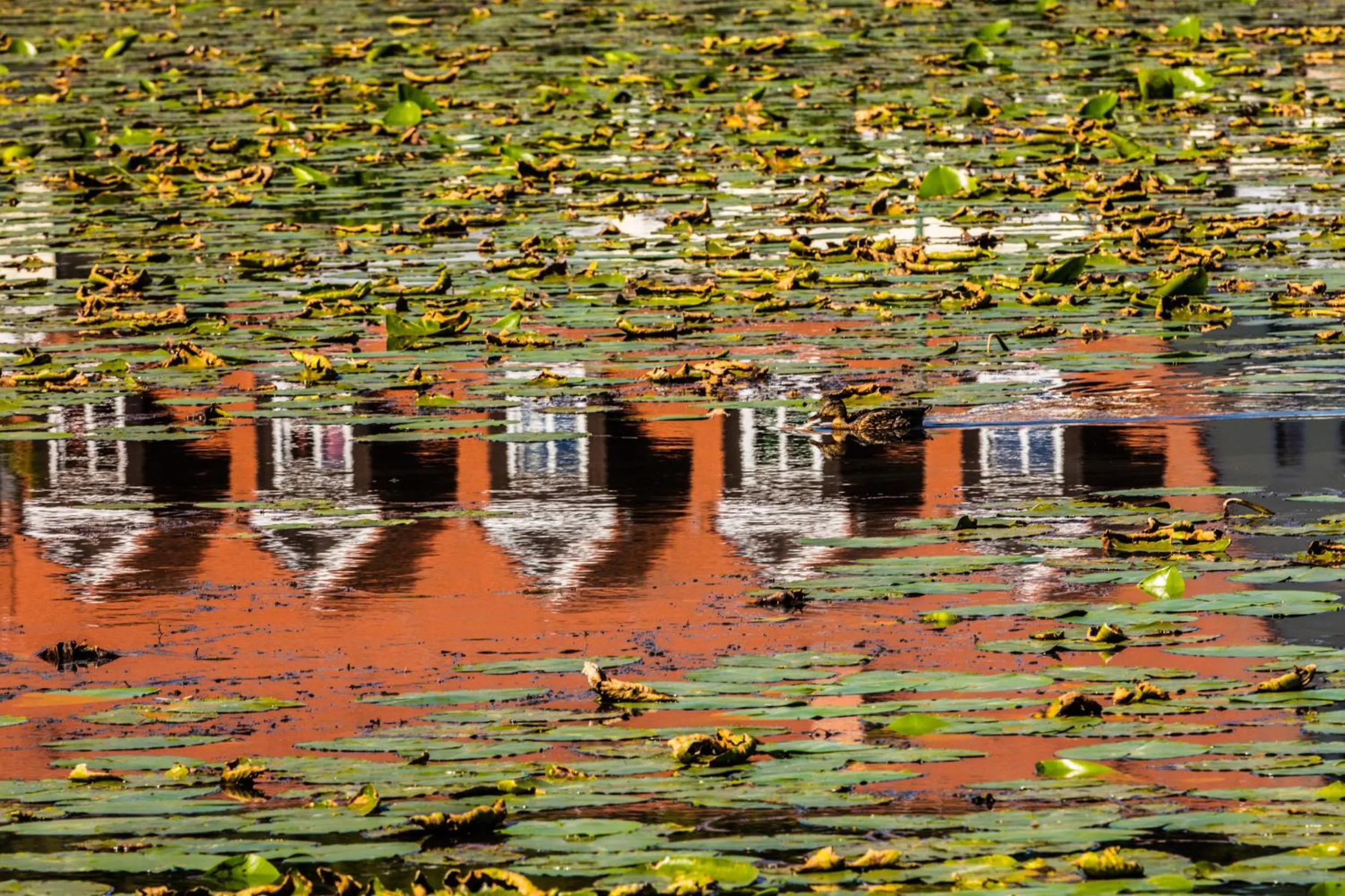Lake view in Hotel Prinz Albrecht