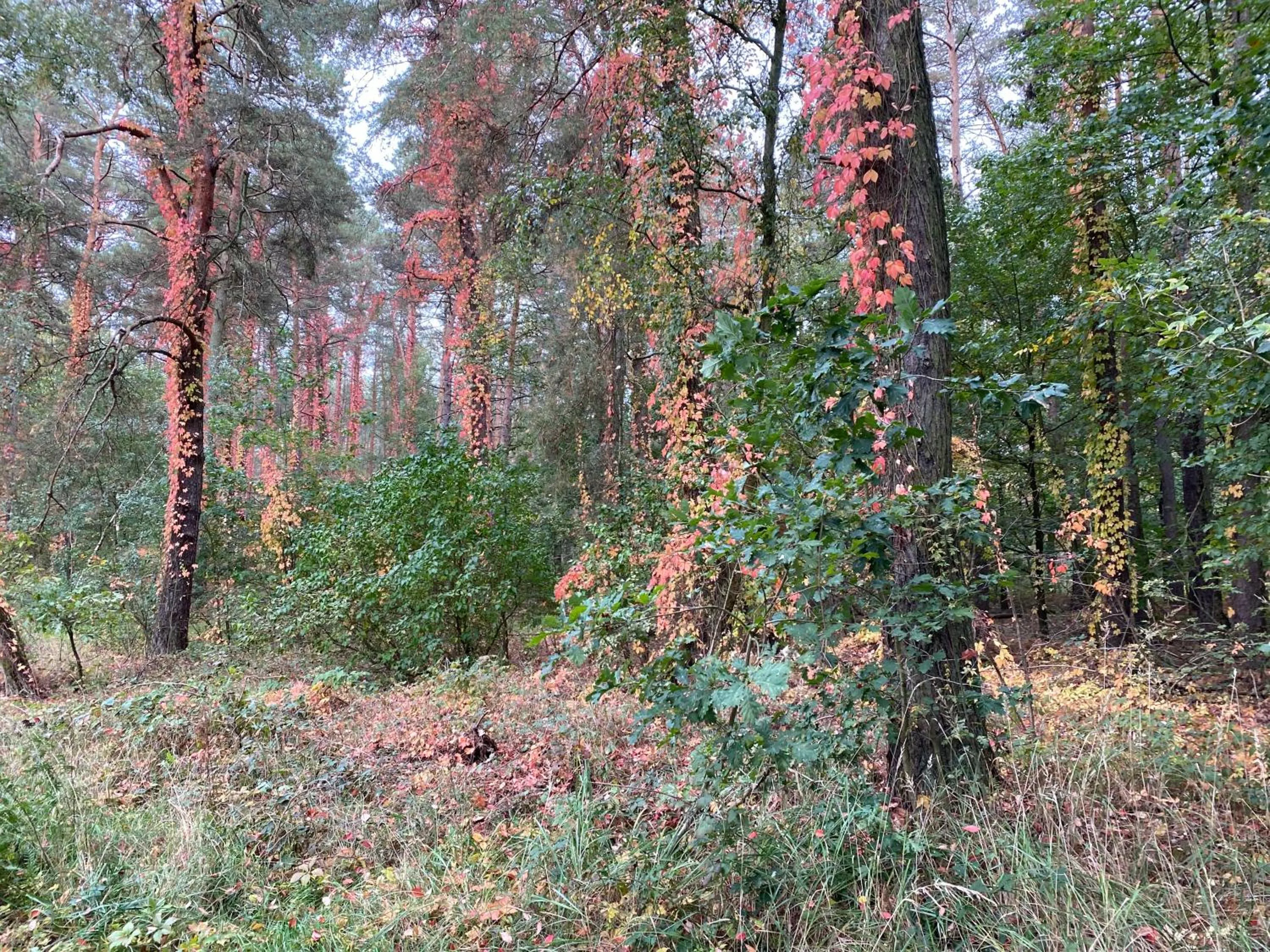 Hiking in Hotel Prinz Albrecht