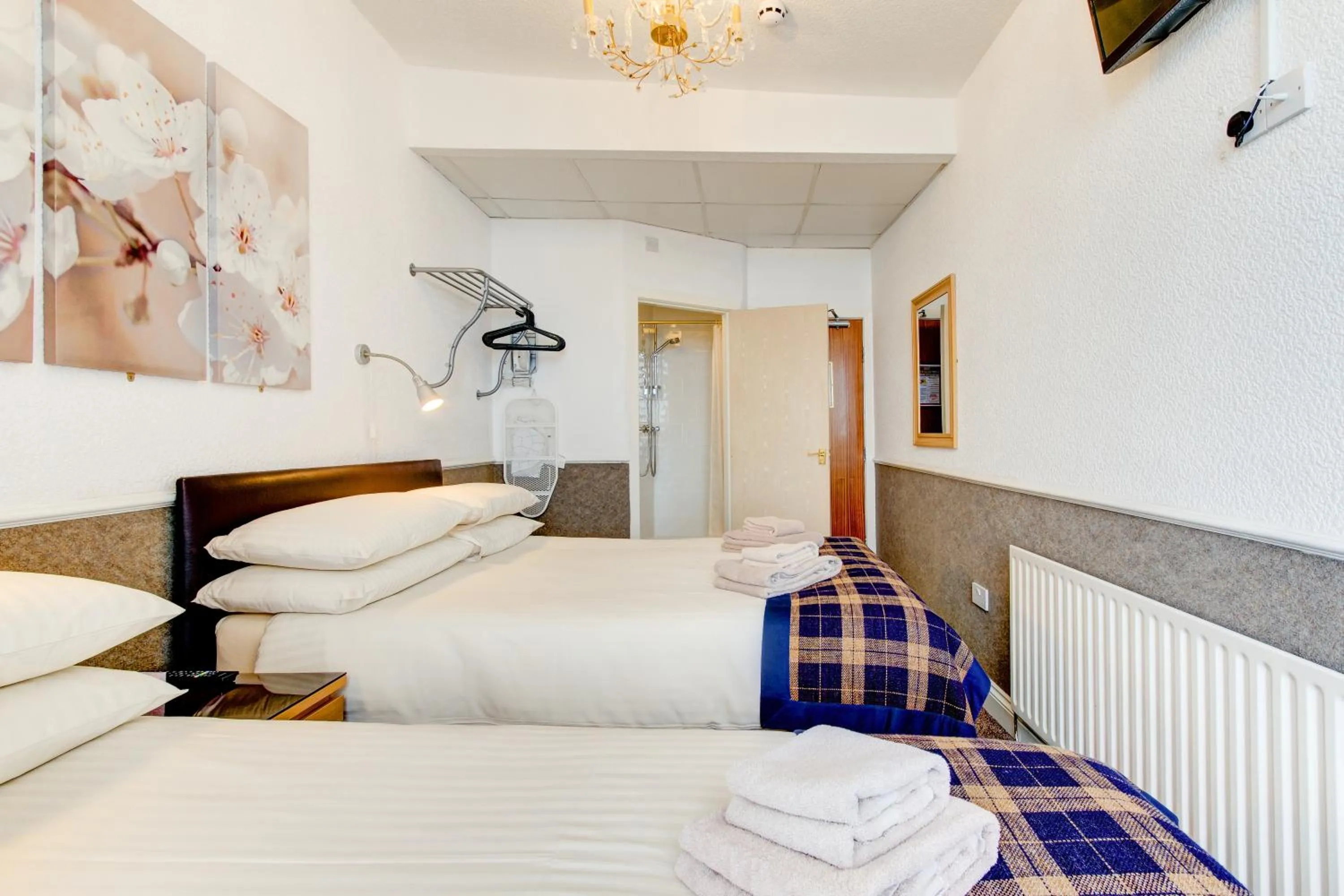 Photo of the whole room, Bed in New Brooklyn