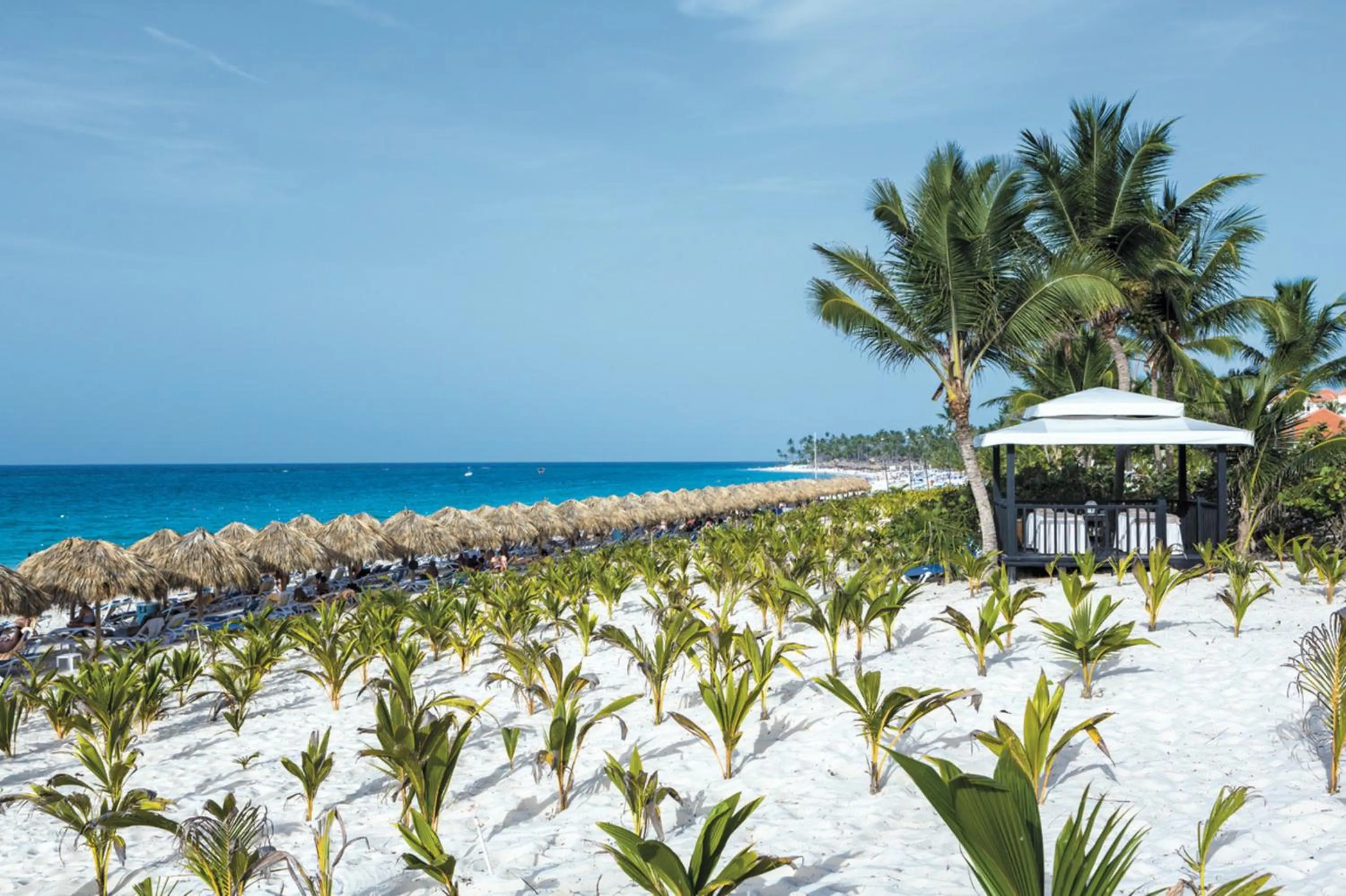 Beach in Riu Republica - Adults Only - All Inclusive