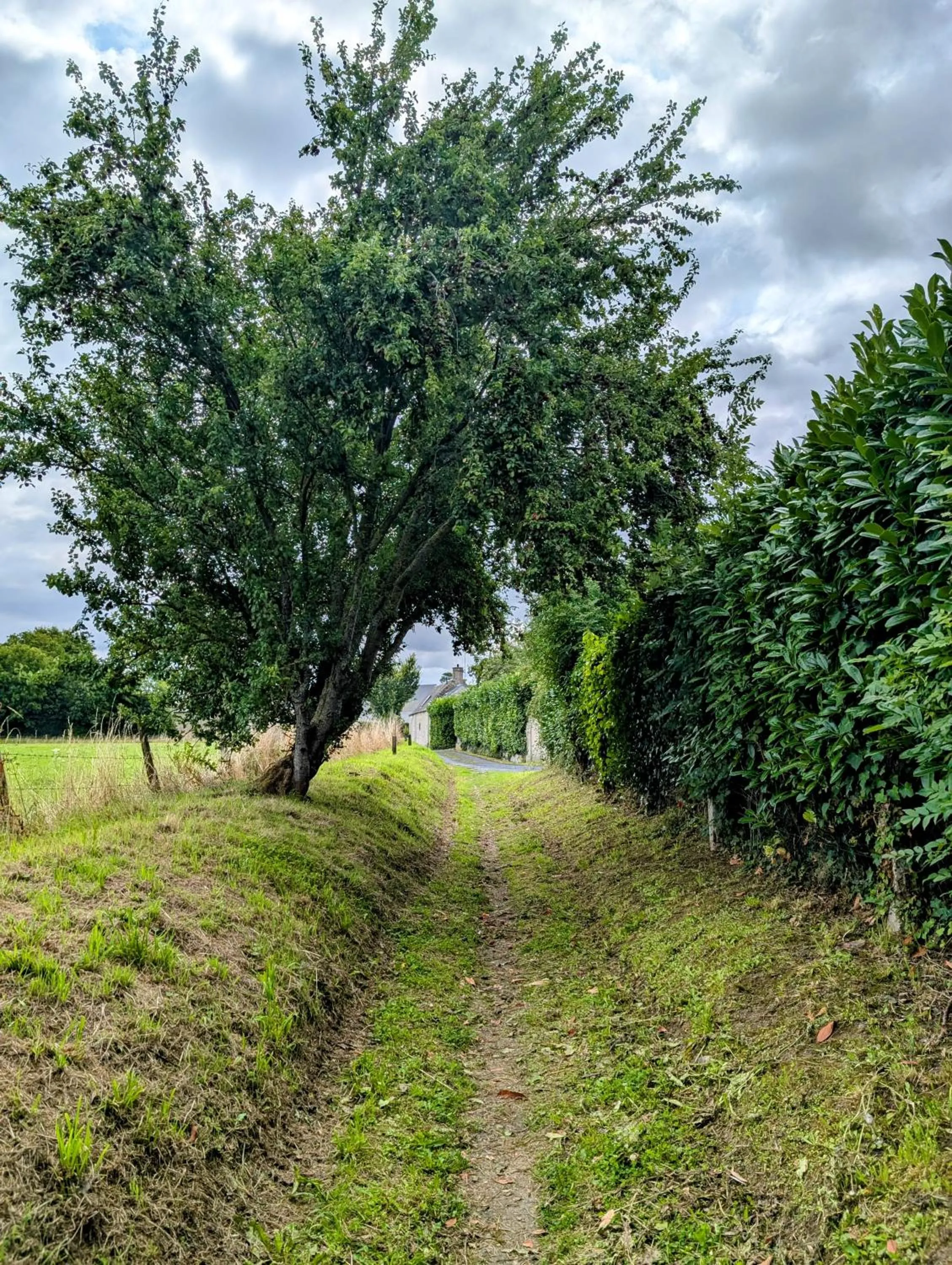 Heritage stone house BnB with Gourmet Breakfast - Chambres d'hôtes de charme entre Bayeux et les plages du débarquement