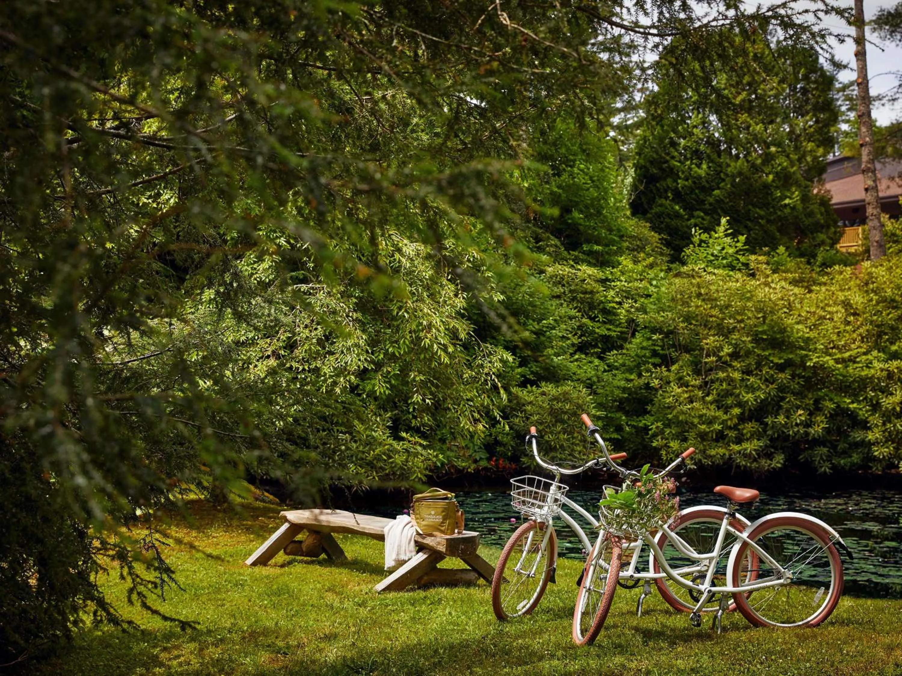 Day in Trailborn Highlands