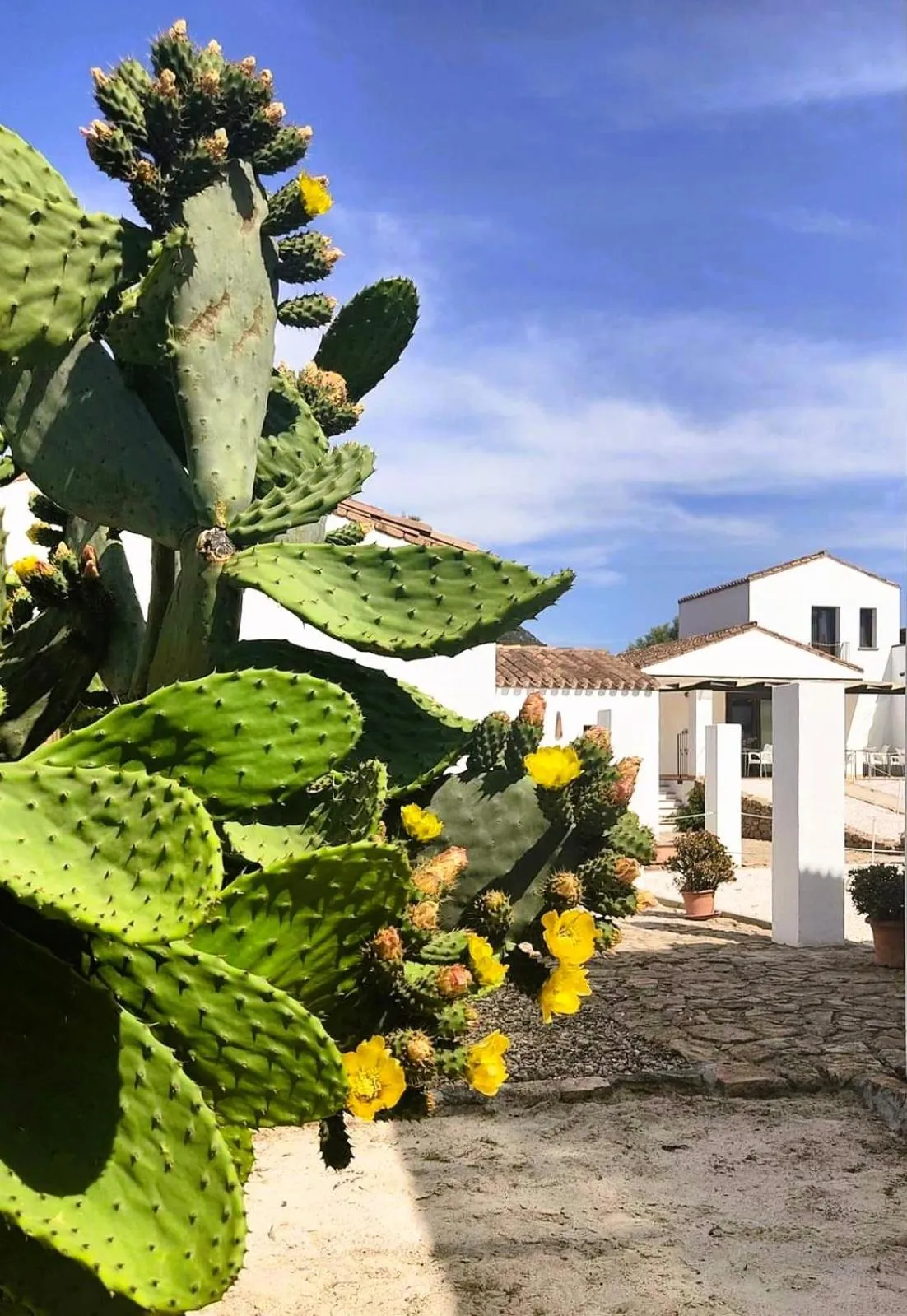 Day in Cort'e Nastasj