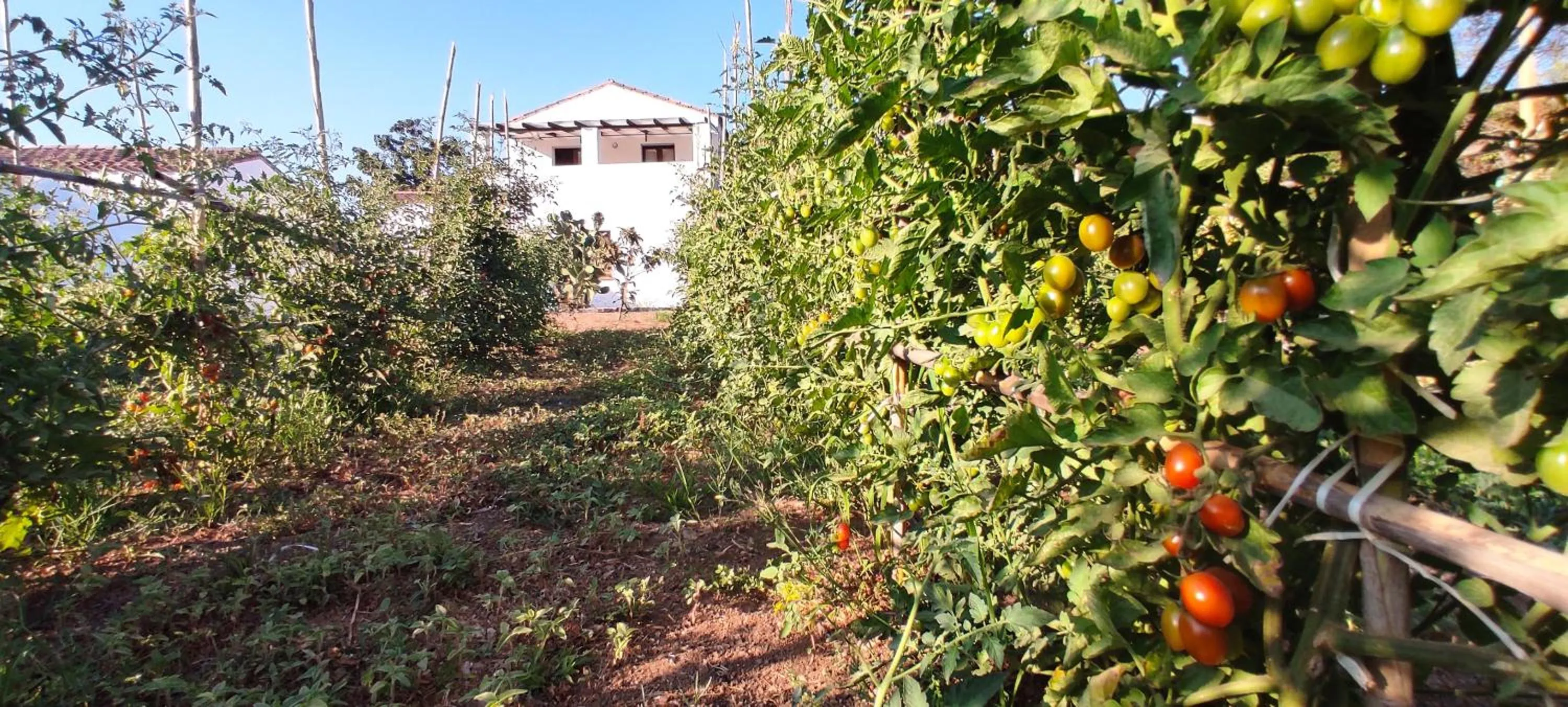 Property building in Cort'e Nastasj