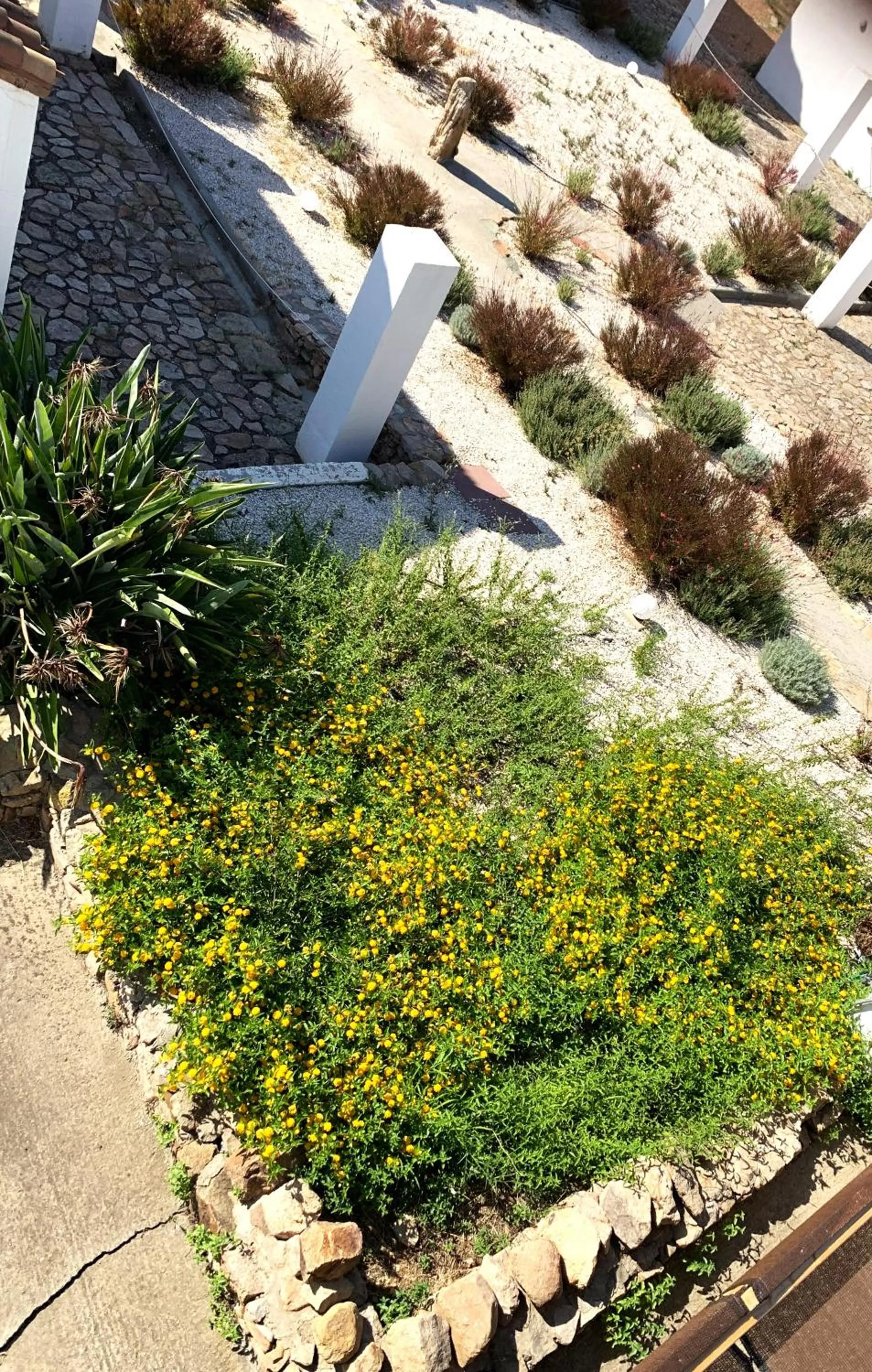 Garden view in Cort'e Nastasj