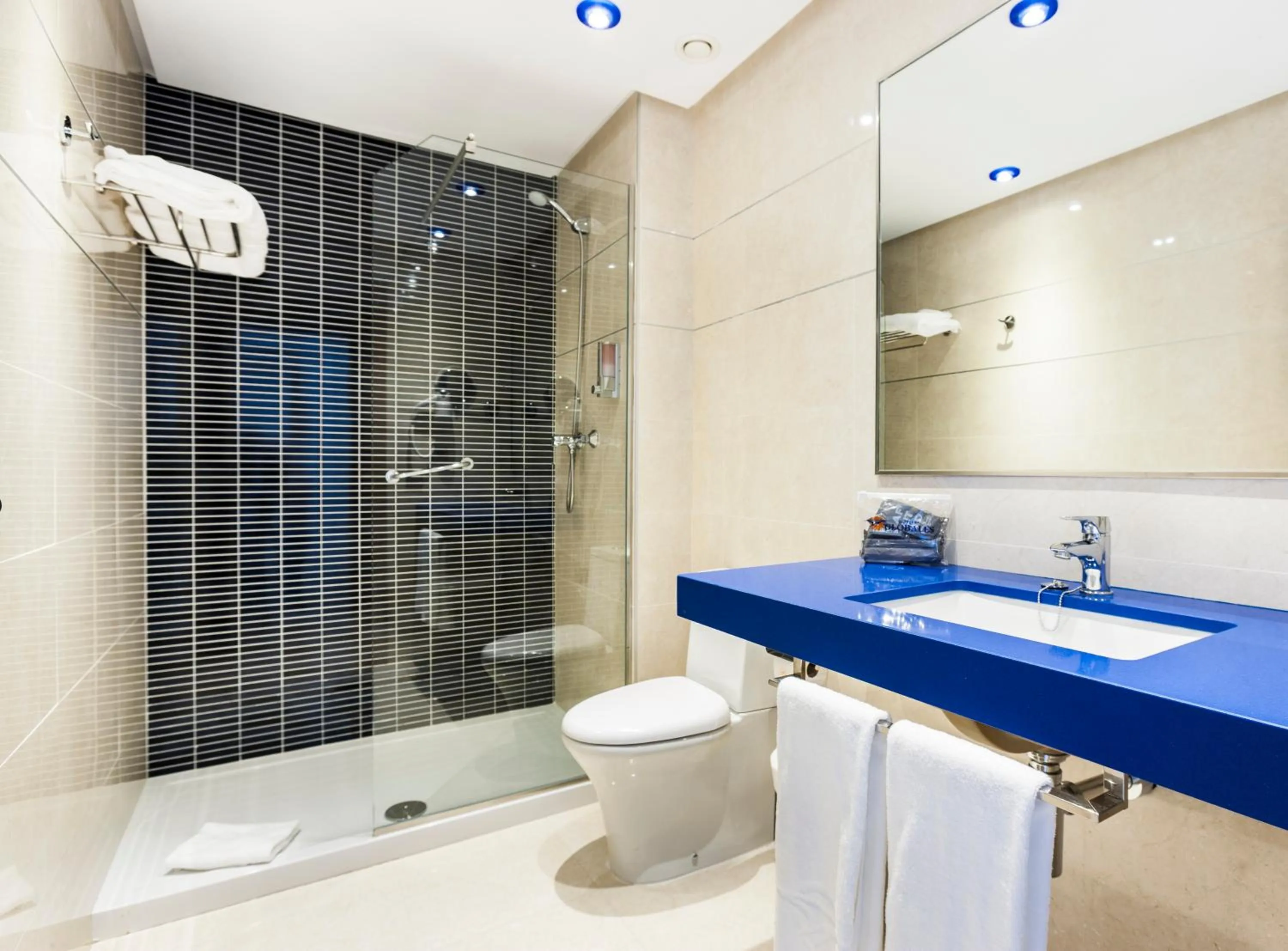 Toilet in Globales Playa Estepona