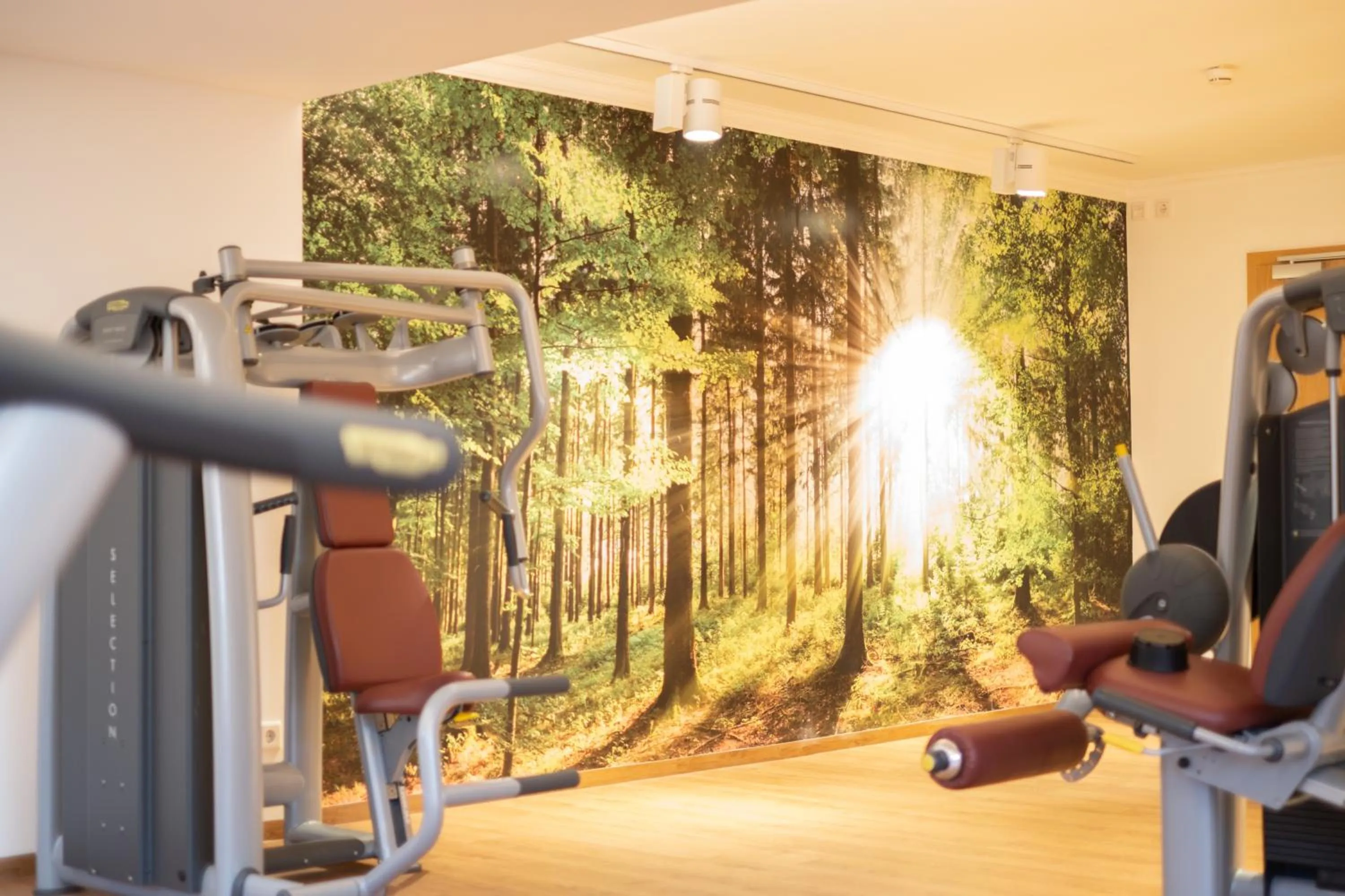 Spa and wellness centre/facilities in Thermenhotel Apollo