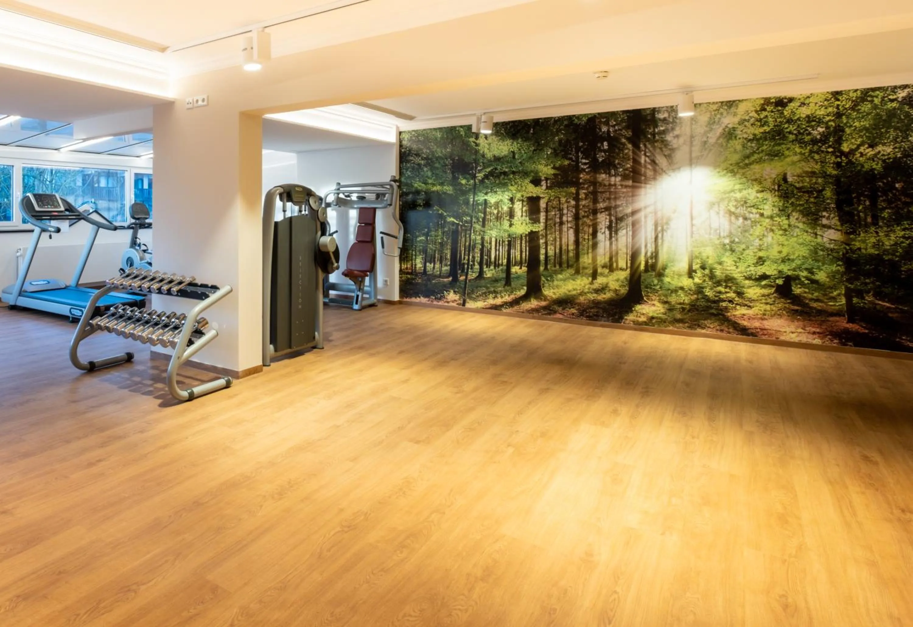 Spa and wellness centre/facilities in Thermenhotel Apollo