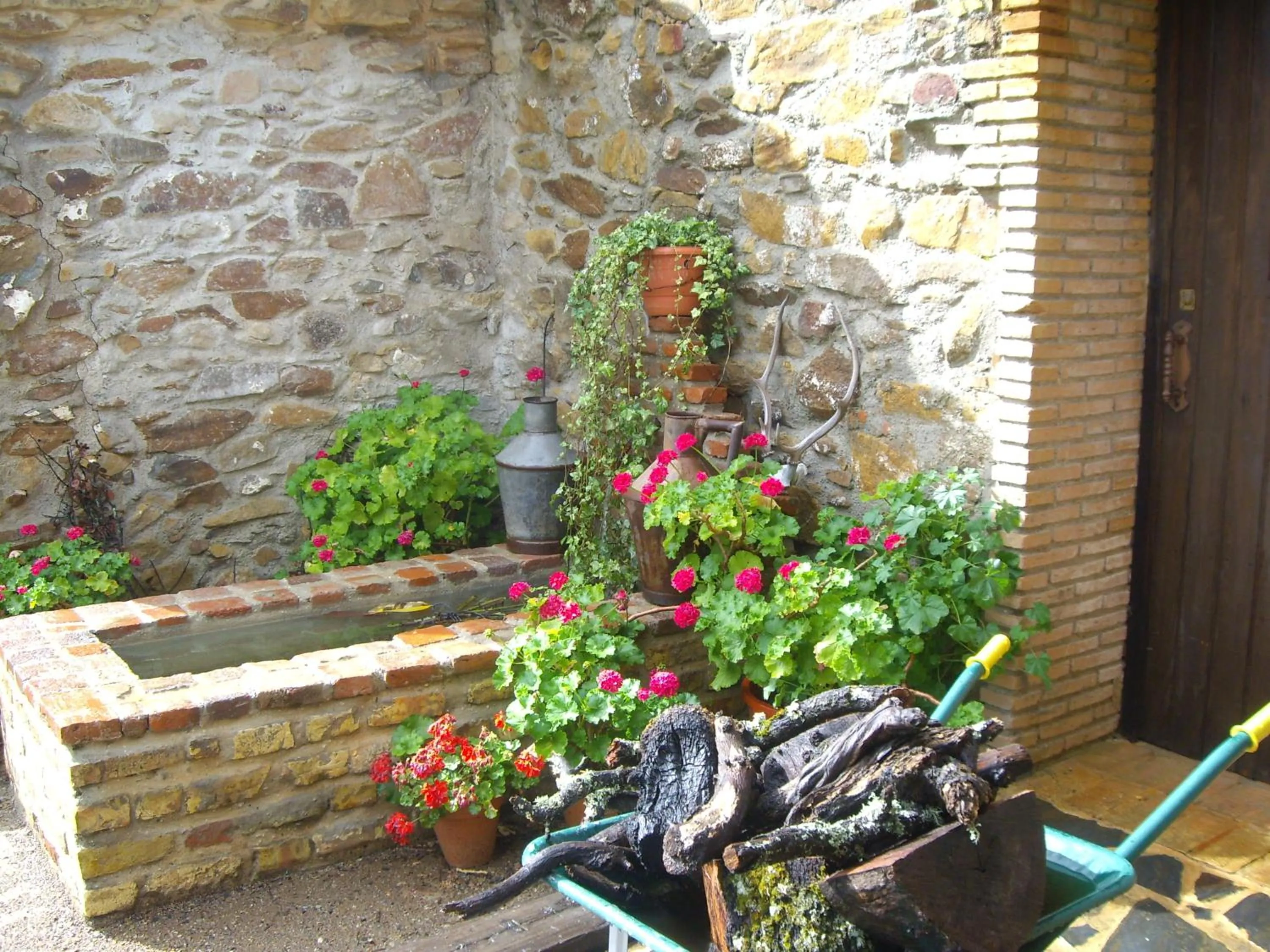 Garden in Finca Los Caleros