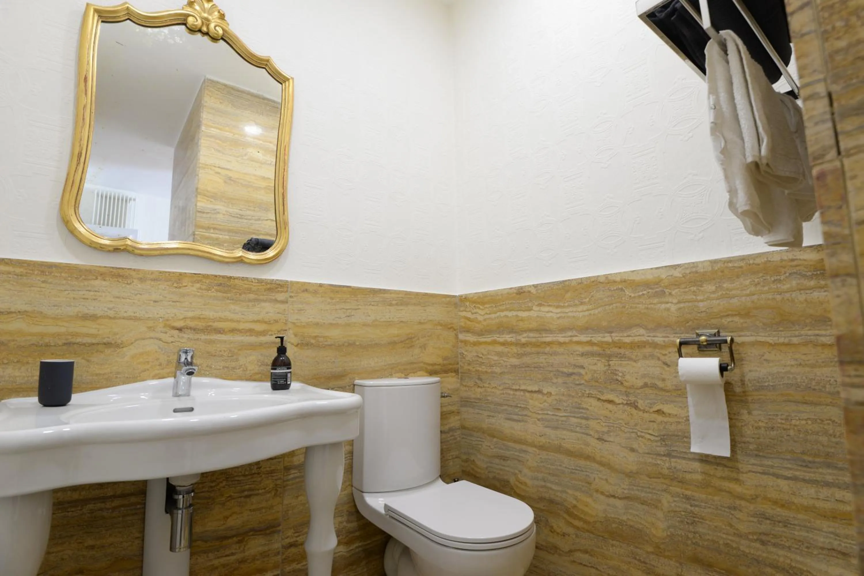 Bathroom in La Maison de L' Ambassadeur Carcassonne B&B