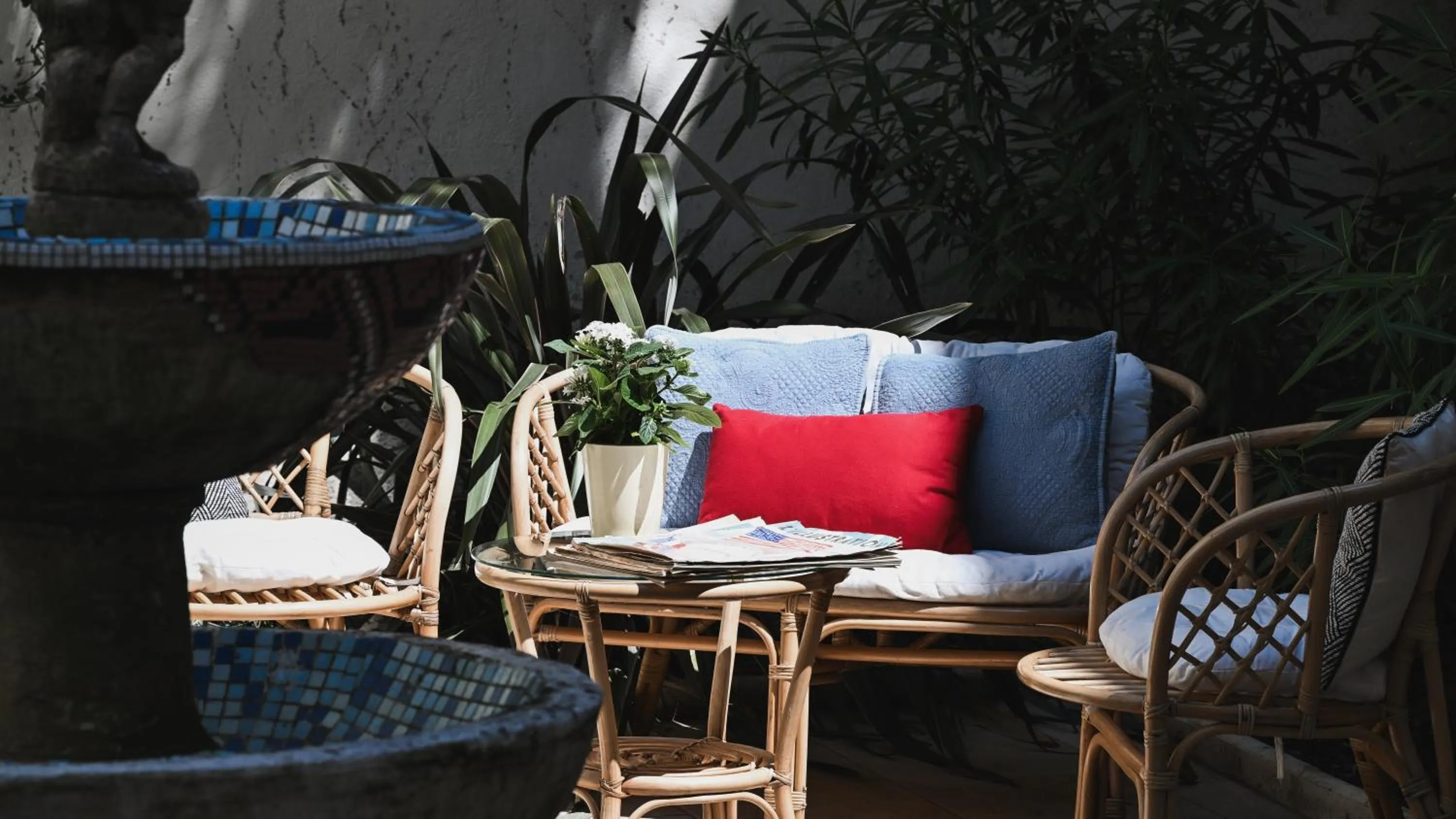 Garden view in La Maison de L' Ambassadeur Carcassonne B&B