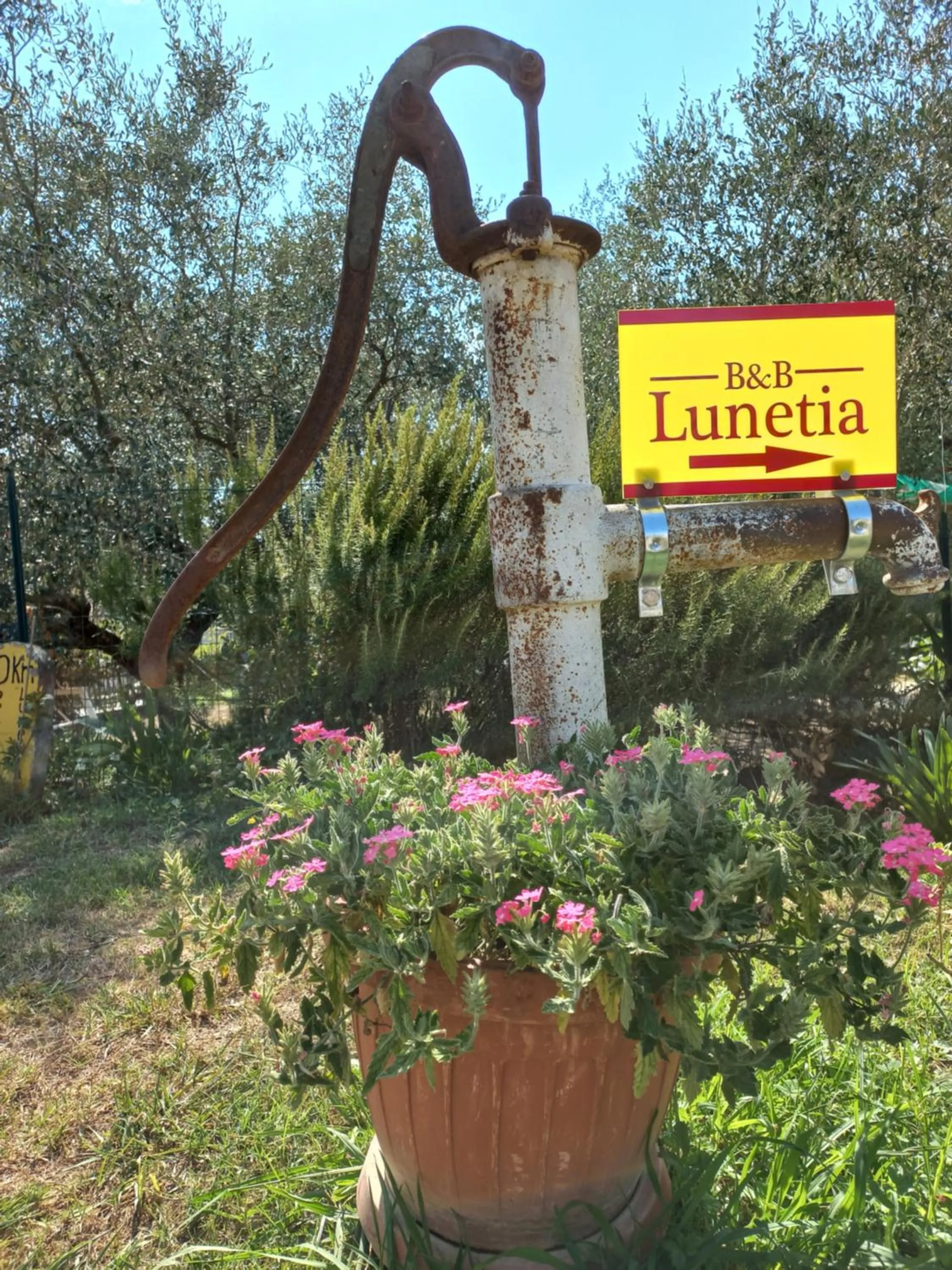 Garden in B&B Lunetia