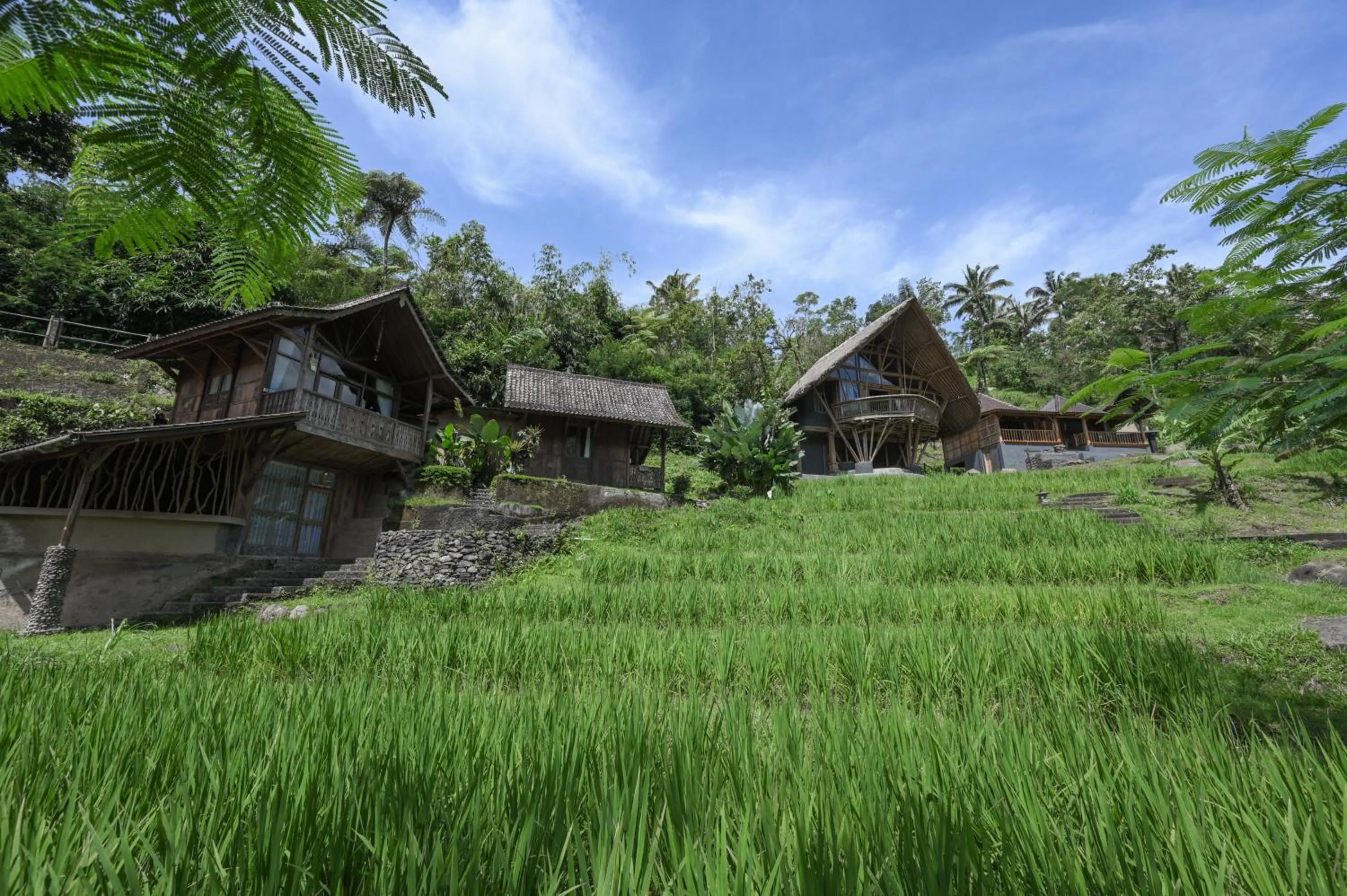 View (from property/room) in Keuma Villa & Resto Jatiluwih by The Lavana