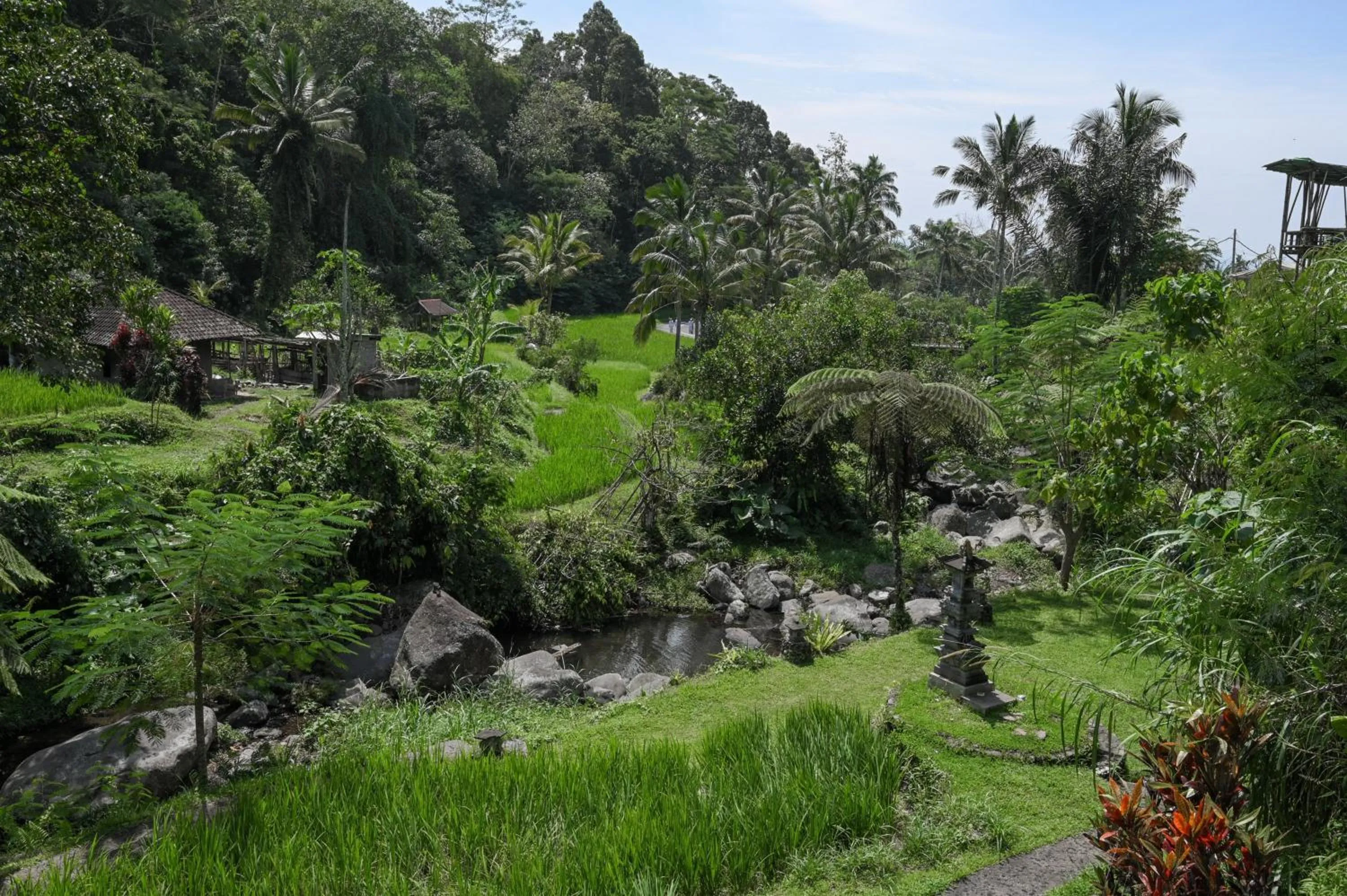 View (from property/room) in Keuma Villa & Resto Jatiluwih by The Lavana