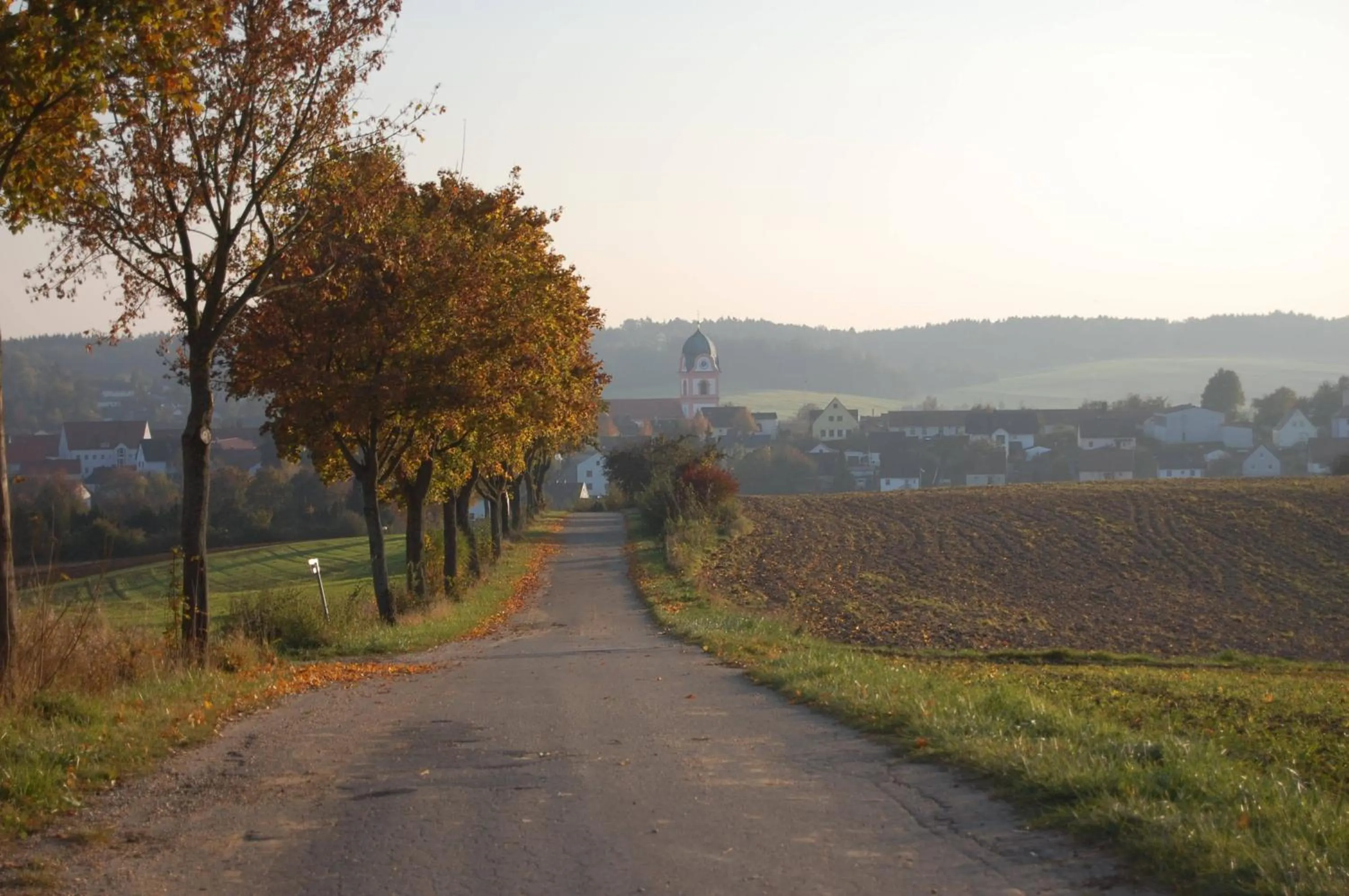 Neighbourhood in Hotel Sixt