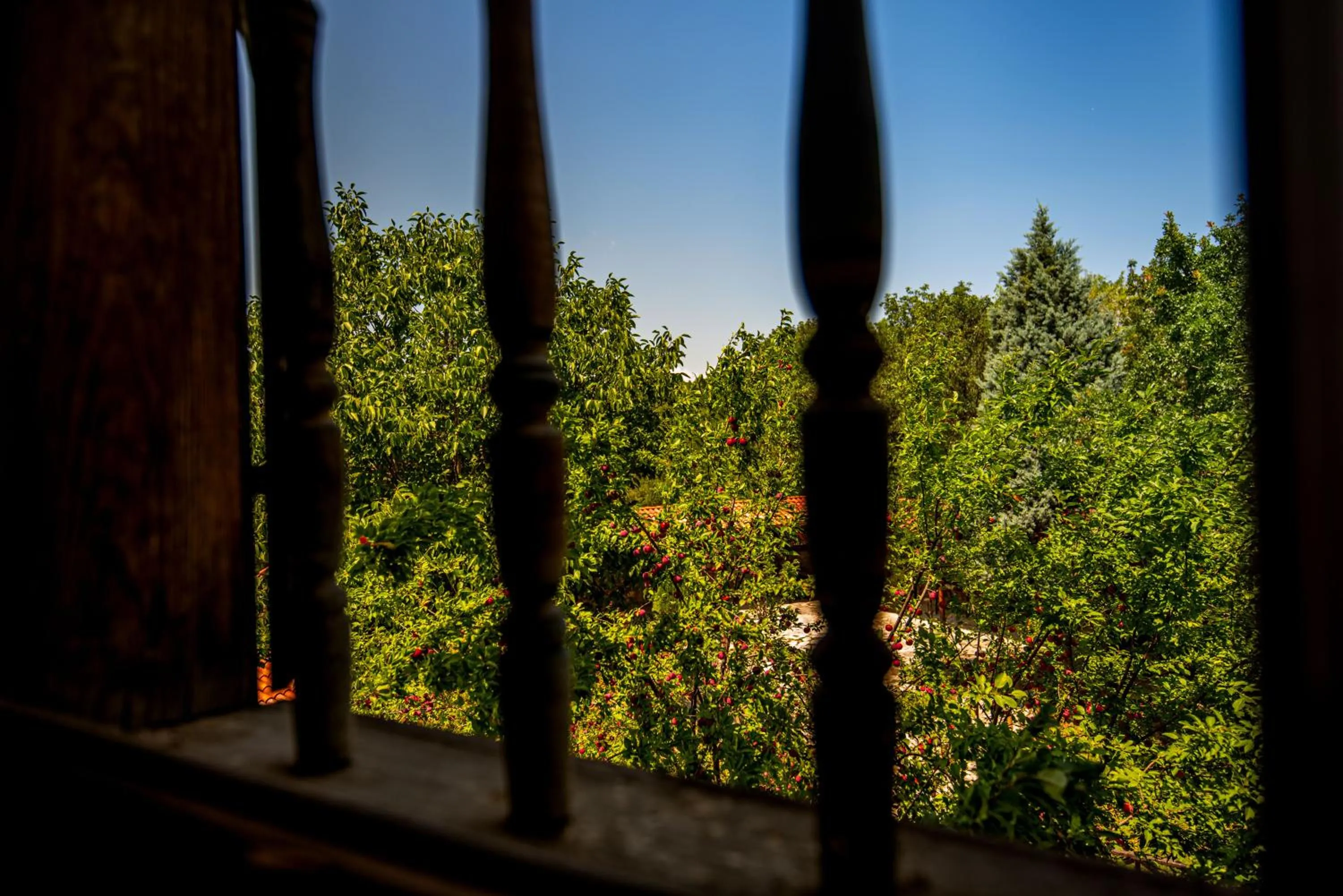 Garden view in Paphlagonia Yoruk Muratoglu Konak