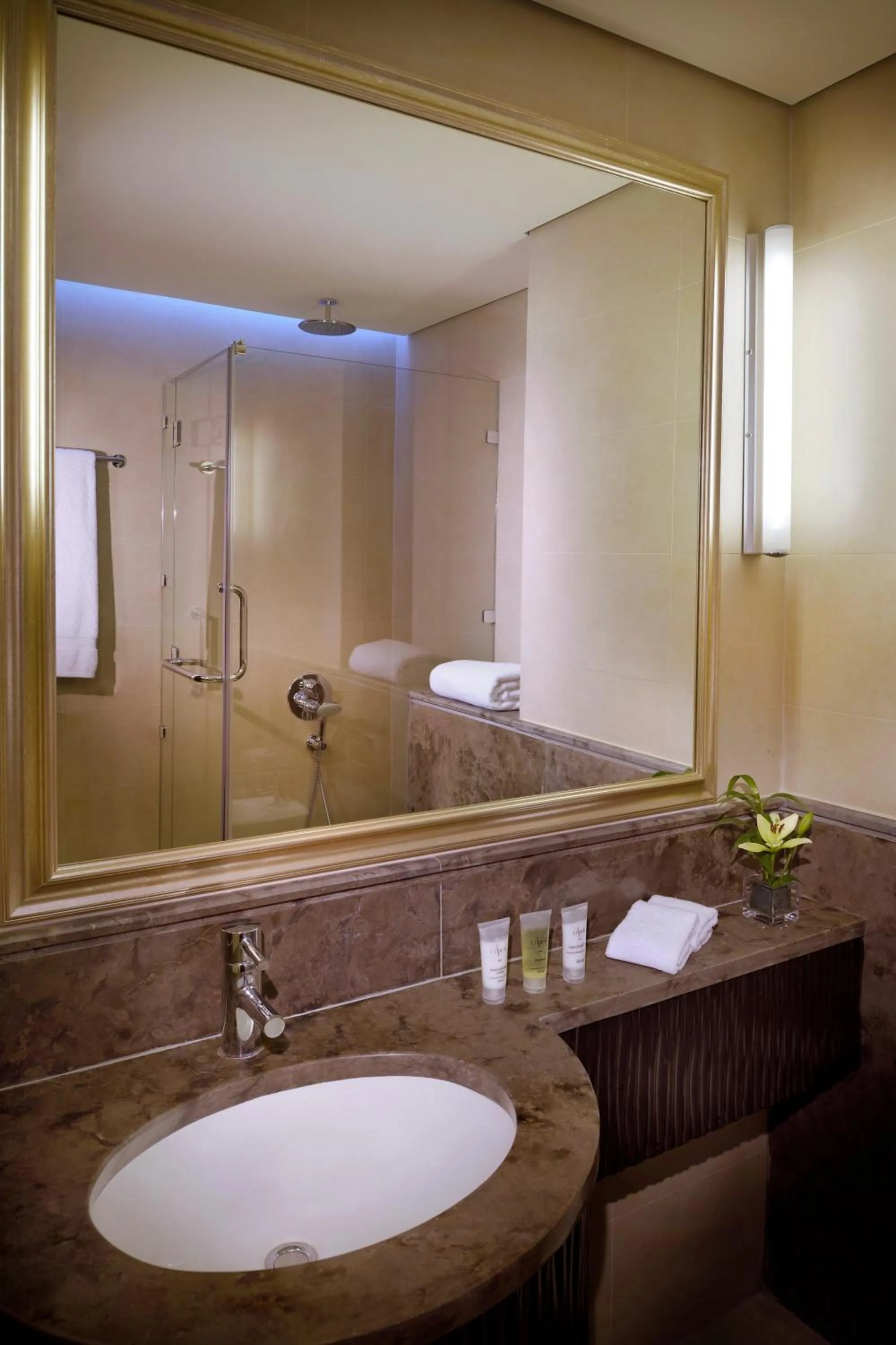 Bathroom in Petra Marriott Hotel