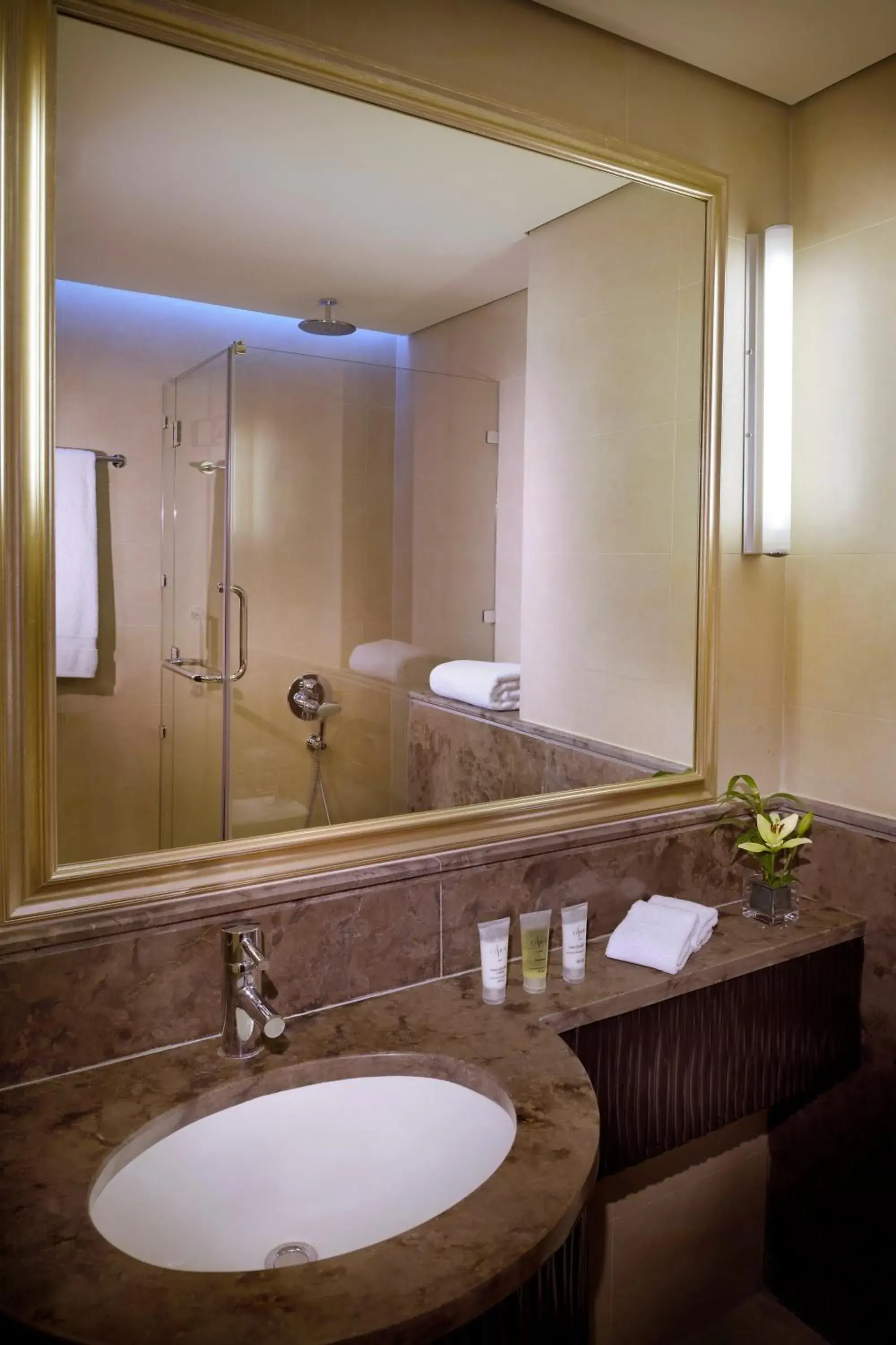 Standard Room, 1 King in Petra Marriott Hotel Standard Room, 1 King in Petra Marriott Hotel