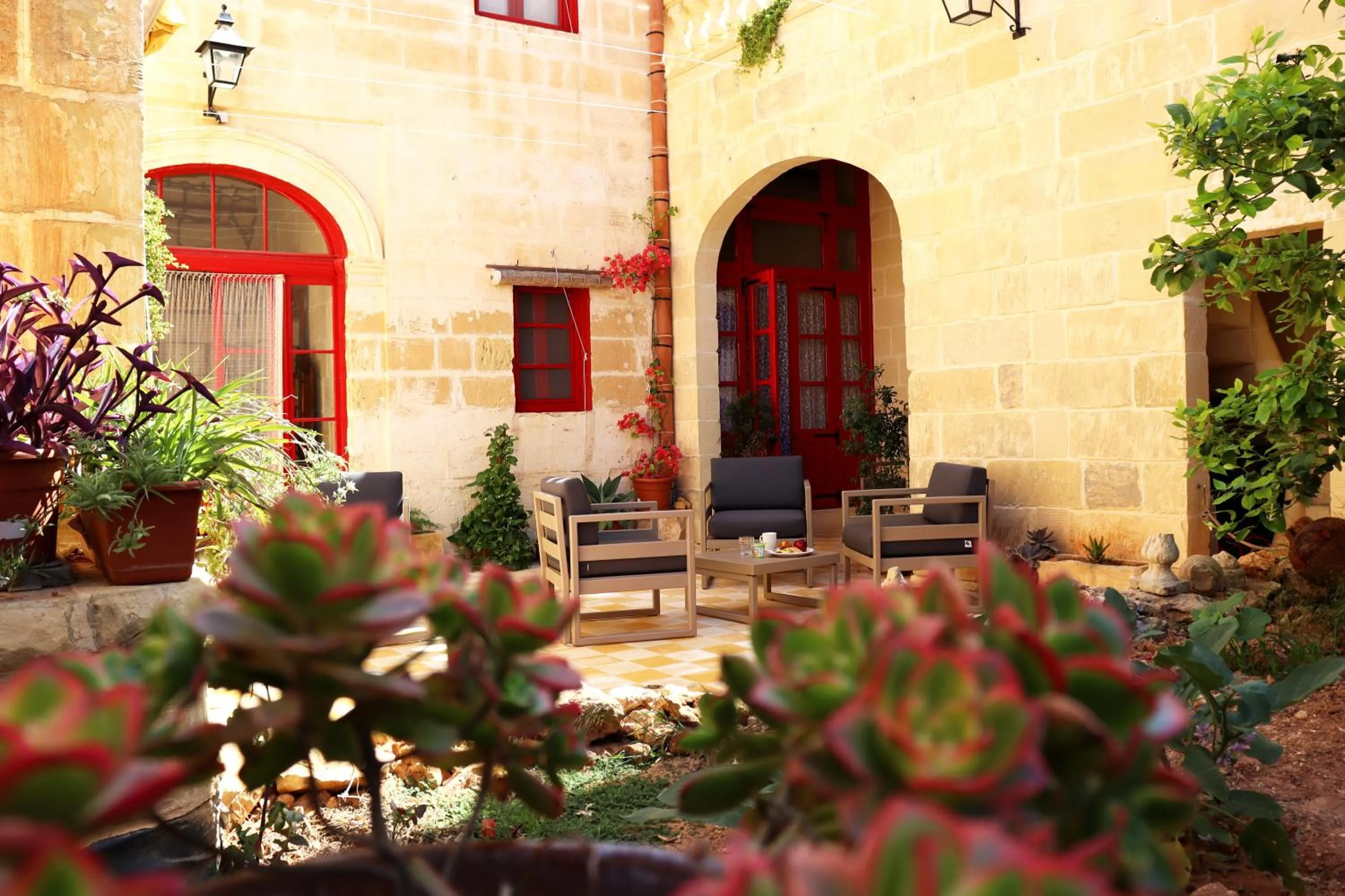 Garden in Il-Bàrraġ Farmhouse B&B - Gozo Traditional Hospitality