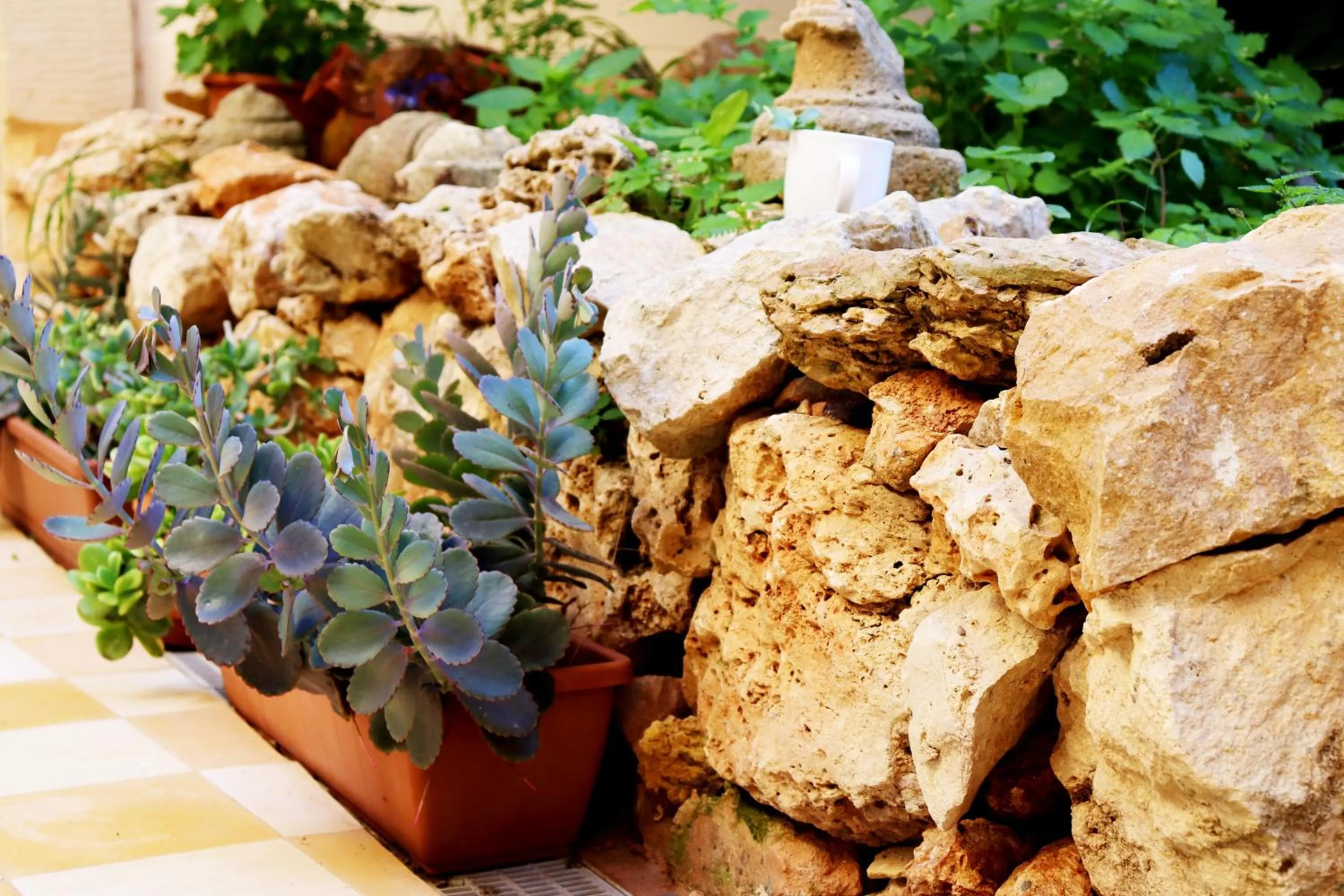 Inner courtyard view in Il-Bàrraġ Farmhouse B&B - Gozo Traditional Hospitality
