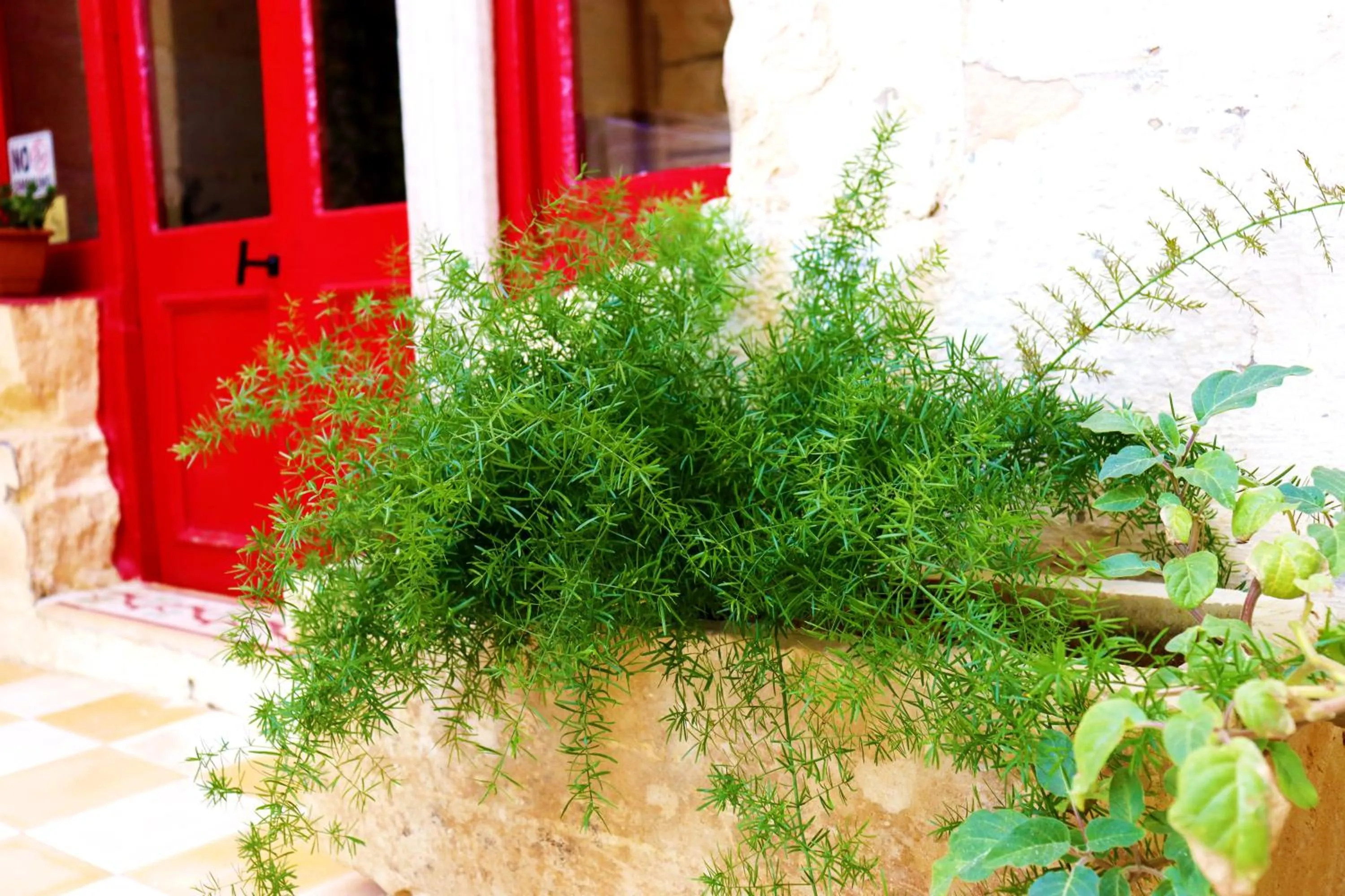 Inner courtyard view in Il-Bàrraġ Farmhouse B&B - Gozo Traditional Hospitality