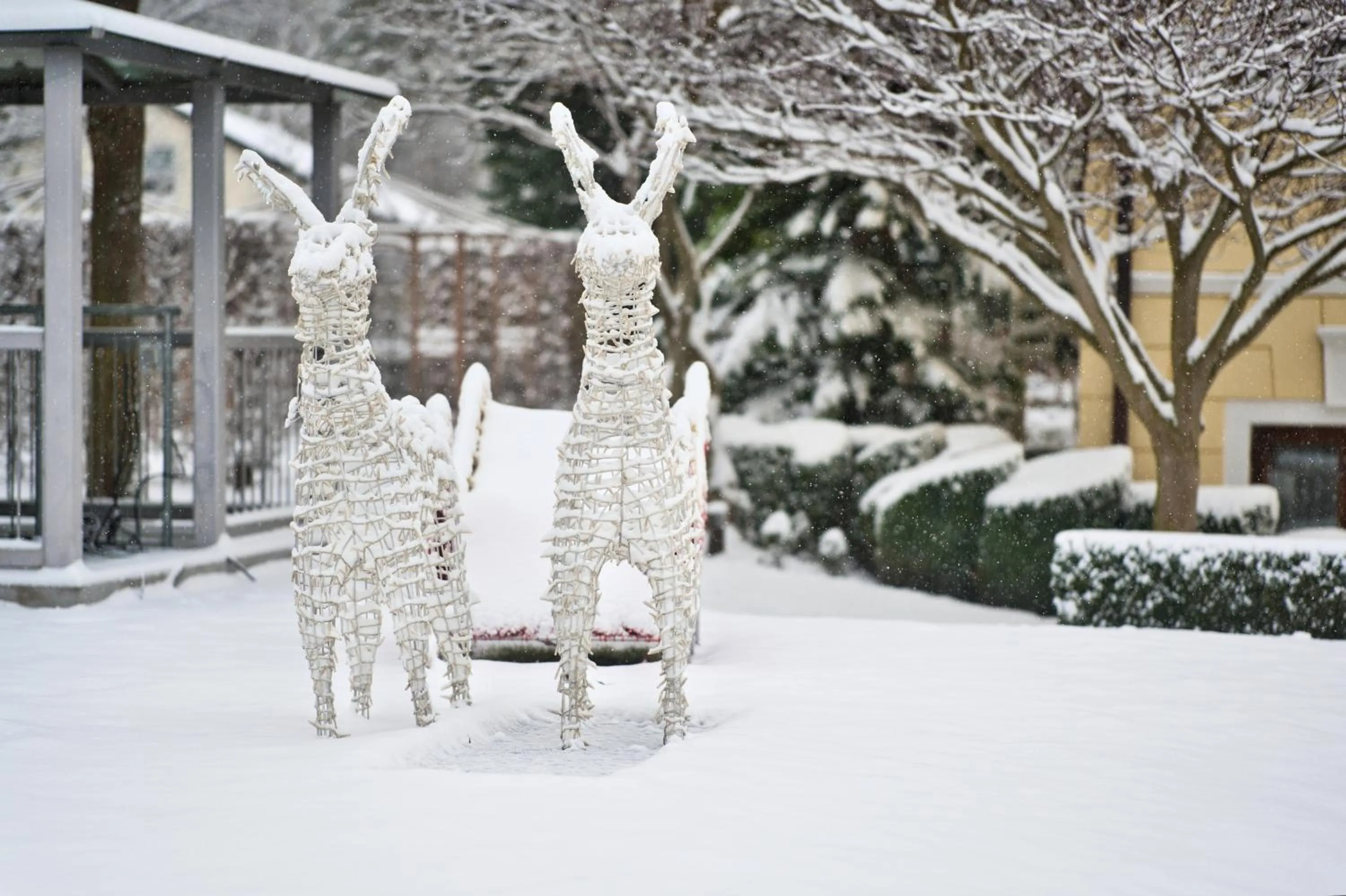Garden in Hotel am Schlosspark Zum Kurfürst