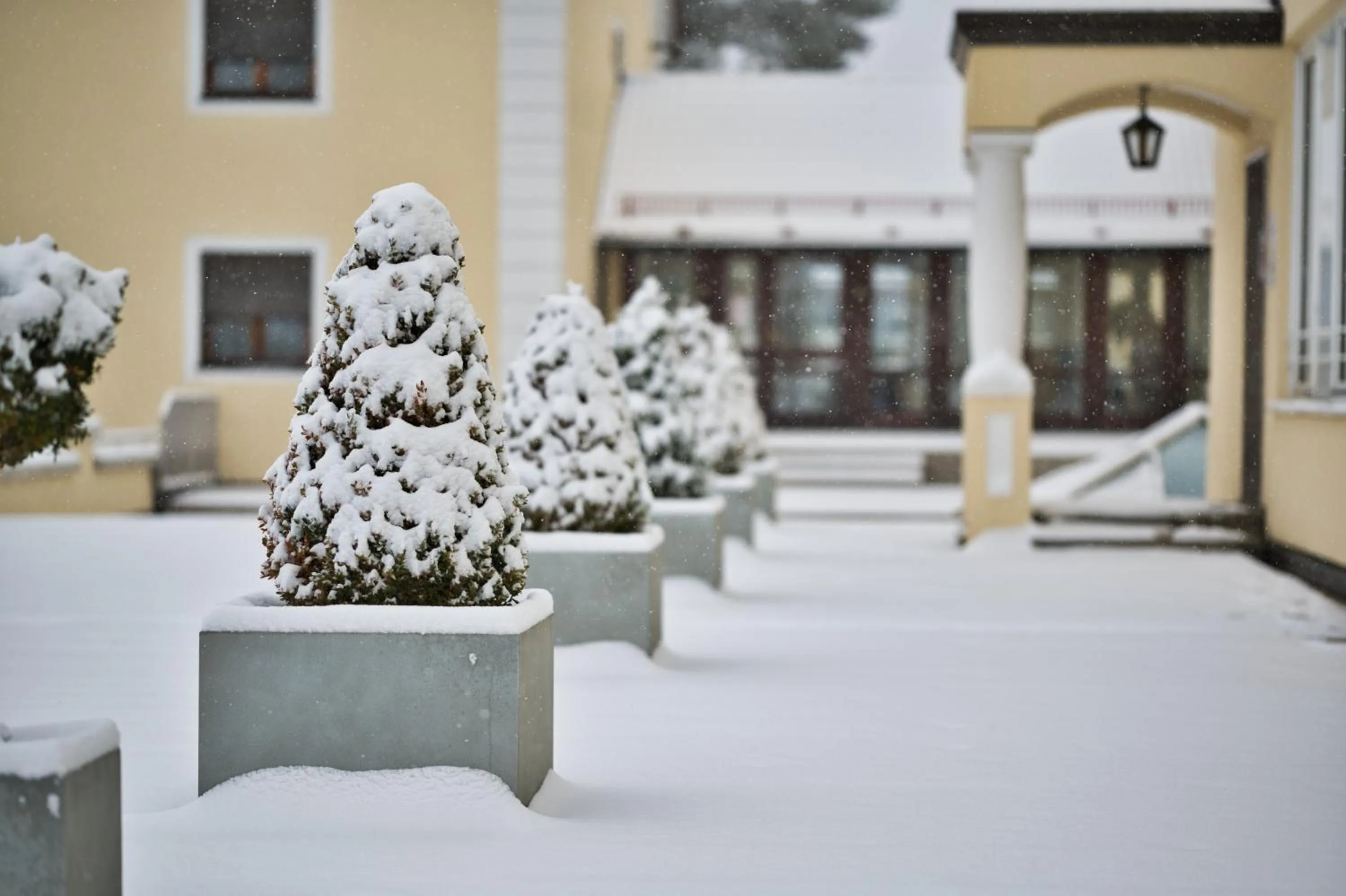 Garden in Hotel am Schlosspark Zum Kurfürst
