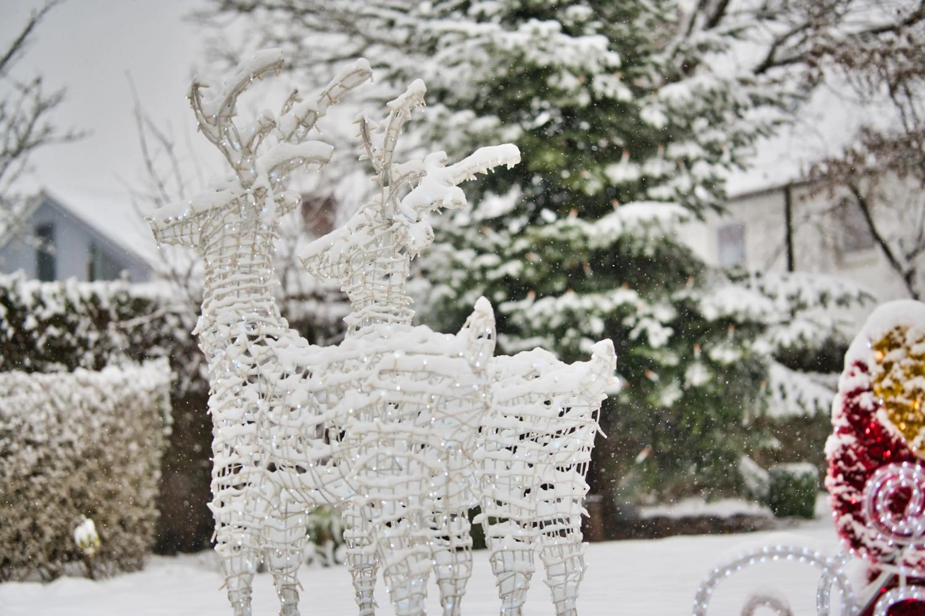 Garden in Hotel am Schlosspark Zum Kurfürst