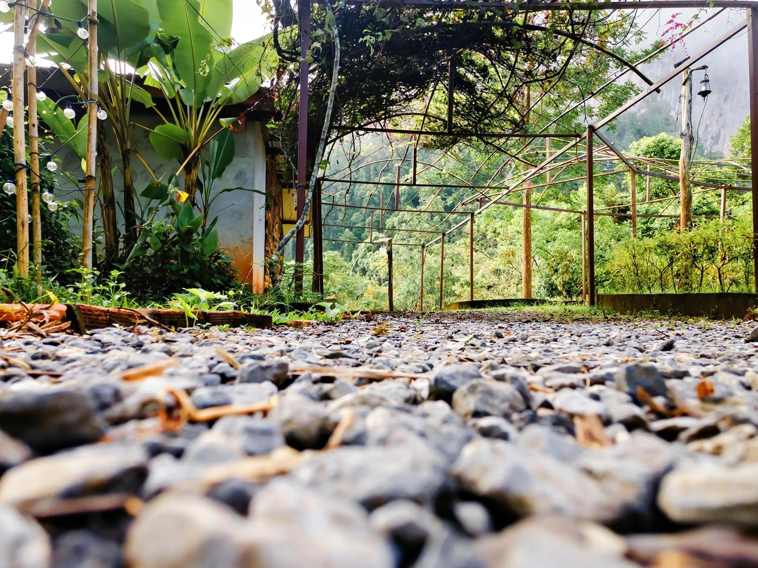 Area and facilities in Bansuanphutarn