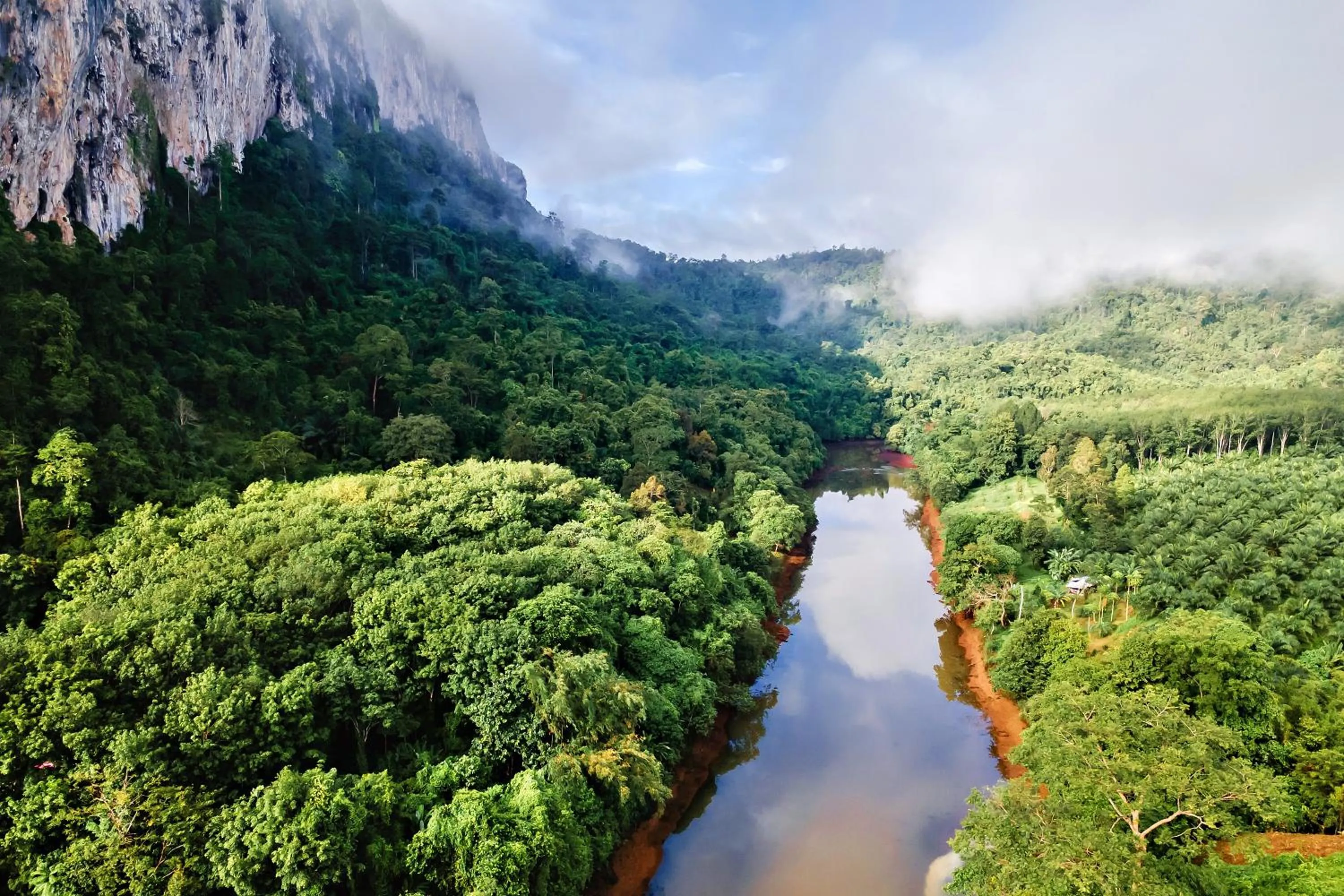 Area and facilities in Bansuanphutarn