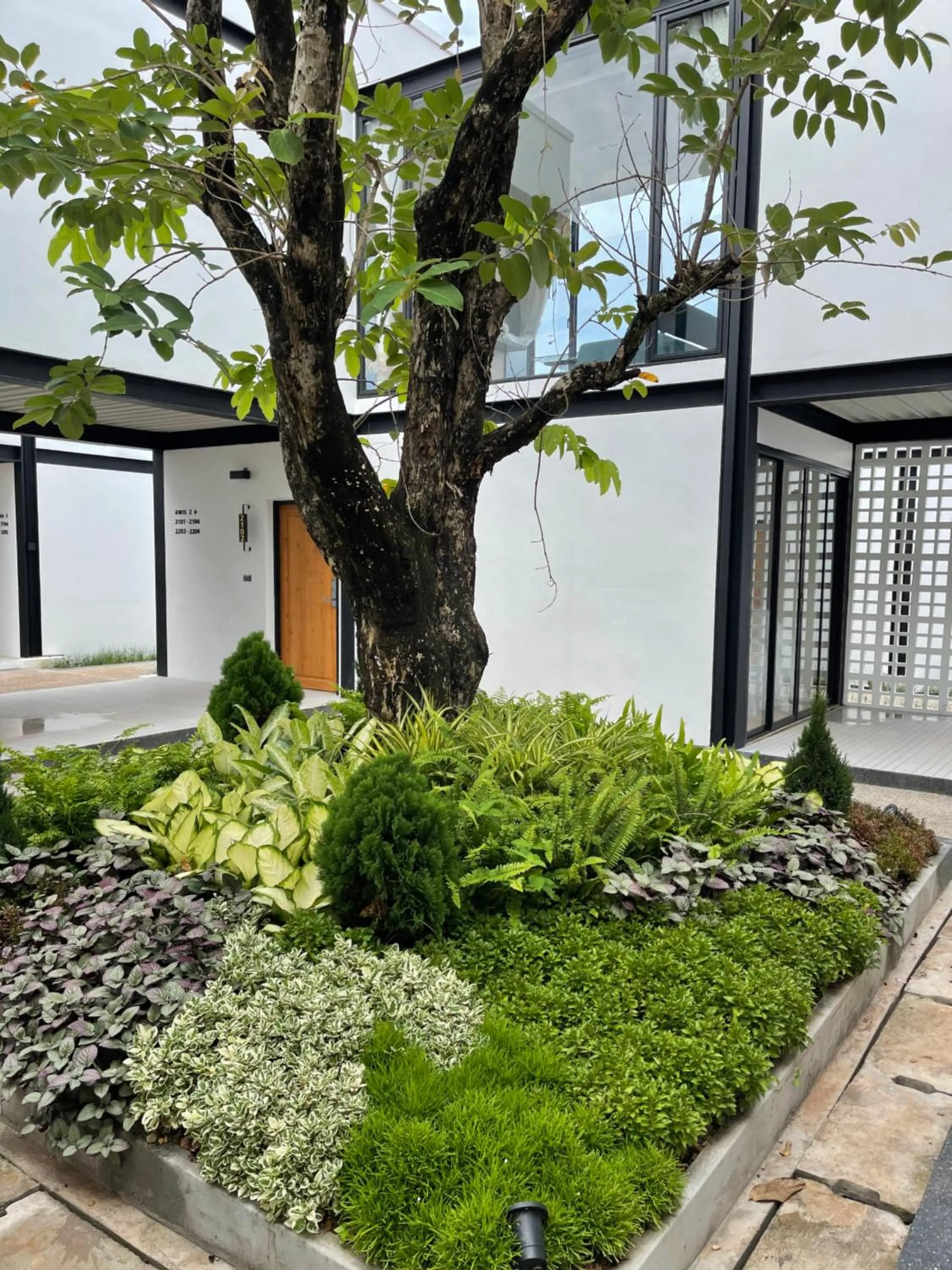 Property building in The Gold Living Life