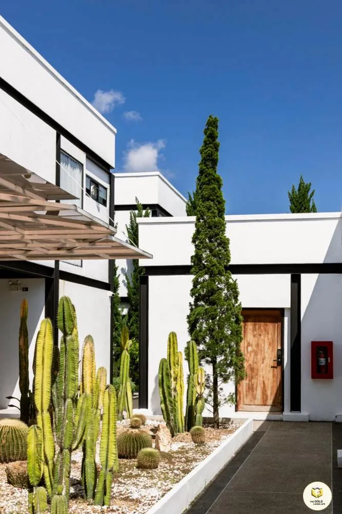 Property building in The Gold Living Life