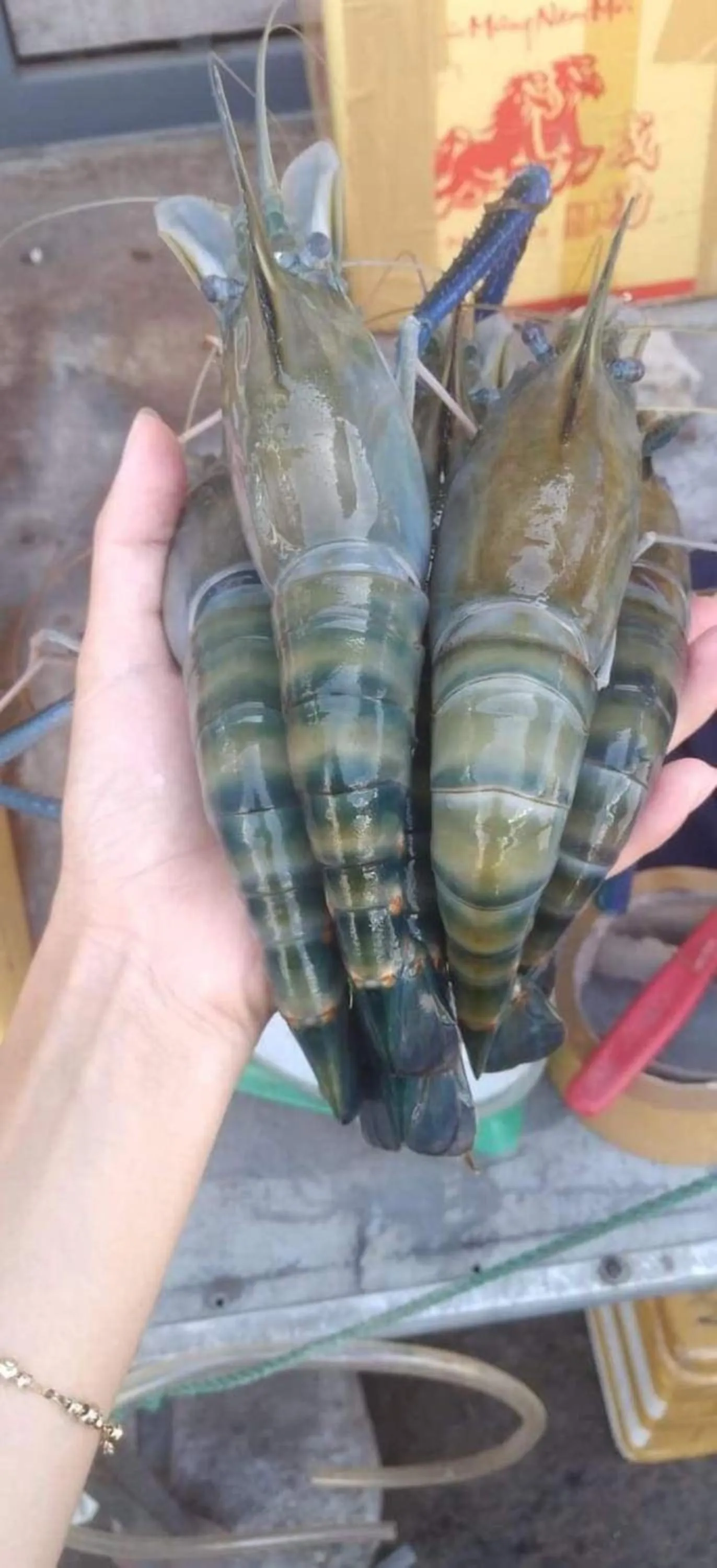 Food in Paris Hotel Bình Thuận