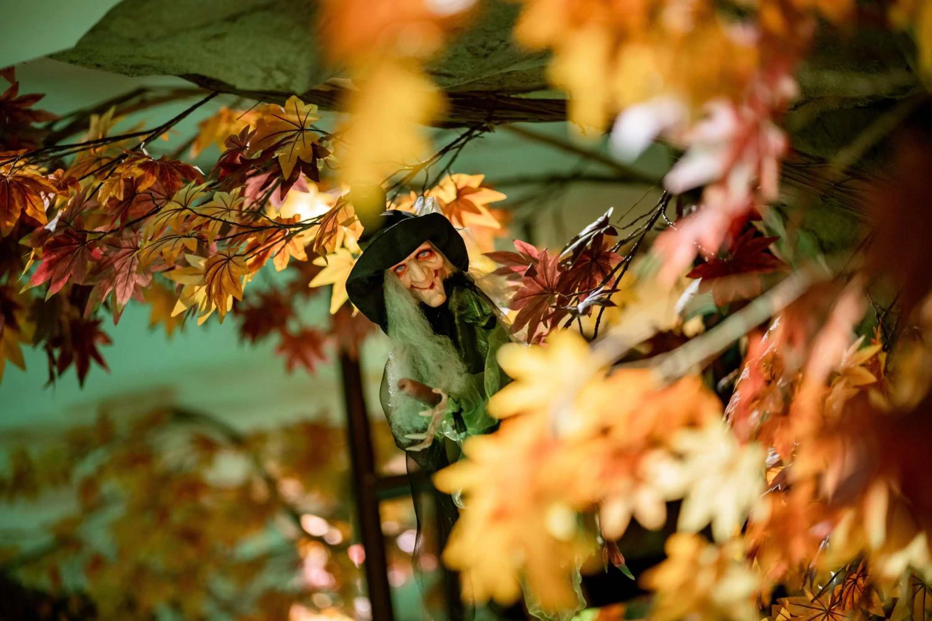Swimming pool in Hotel Restaurant Hexenalm