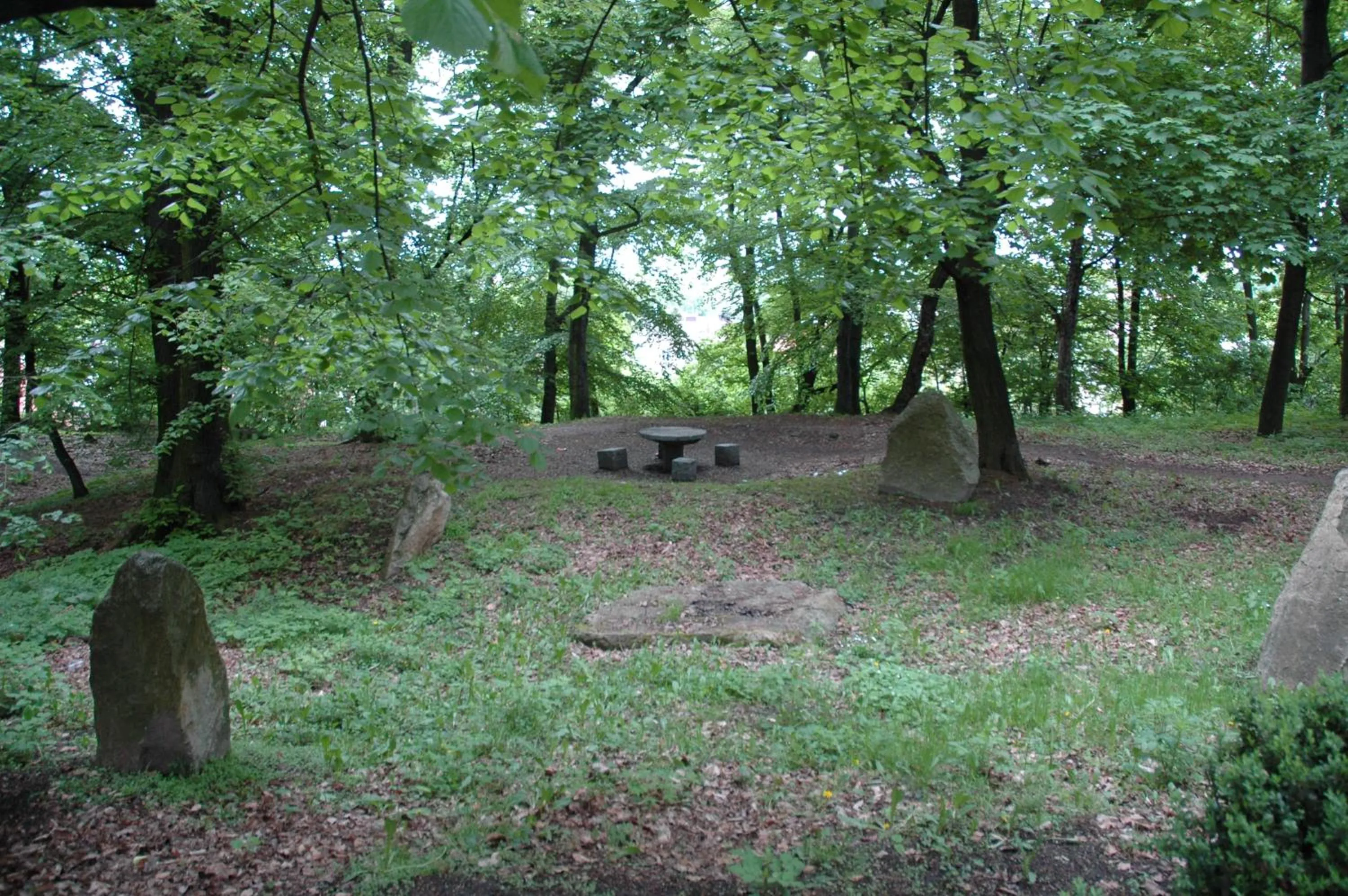 Garden in Hotel Maria