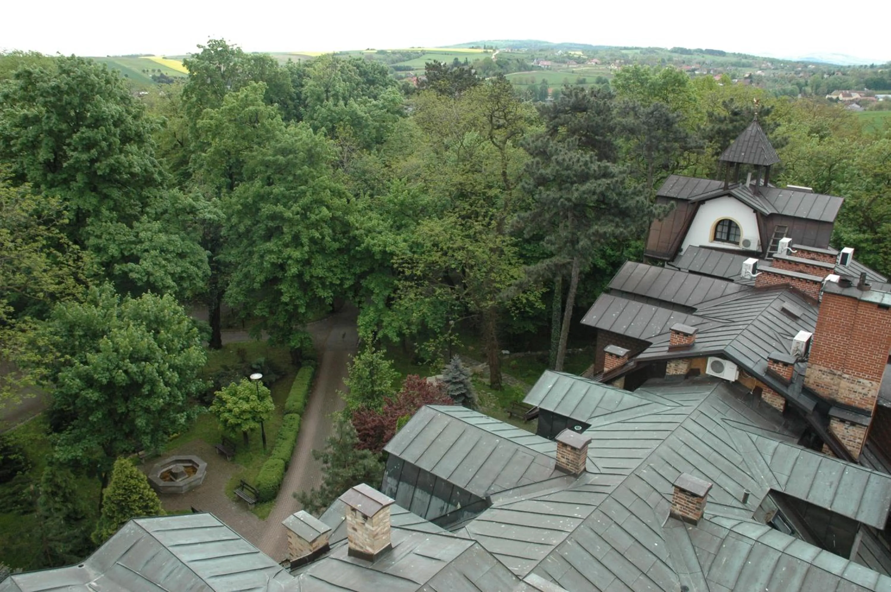 Garden in Hotel Maria