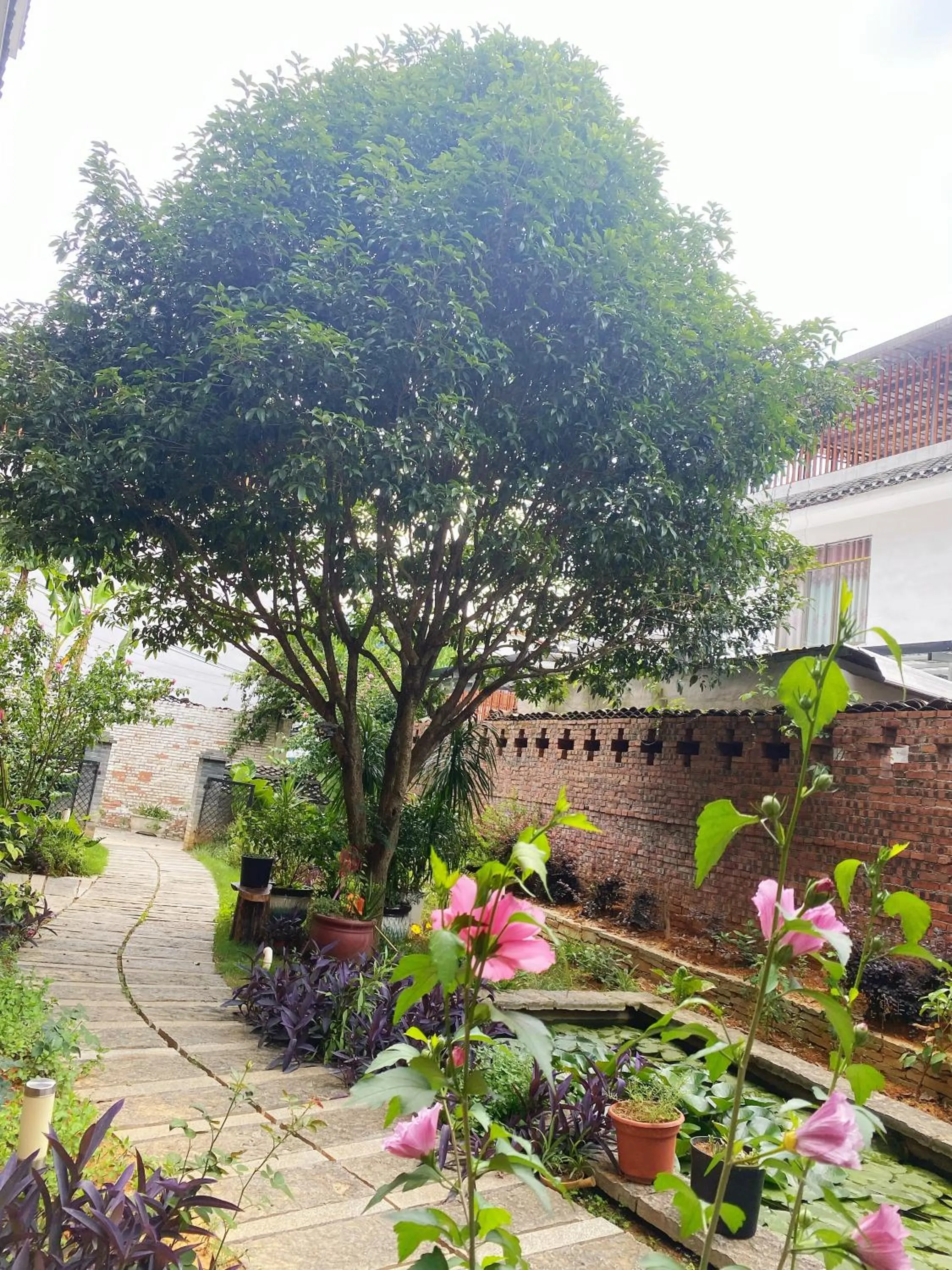 Garden in YangShuo Eden Inn