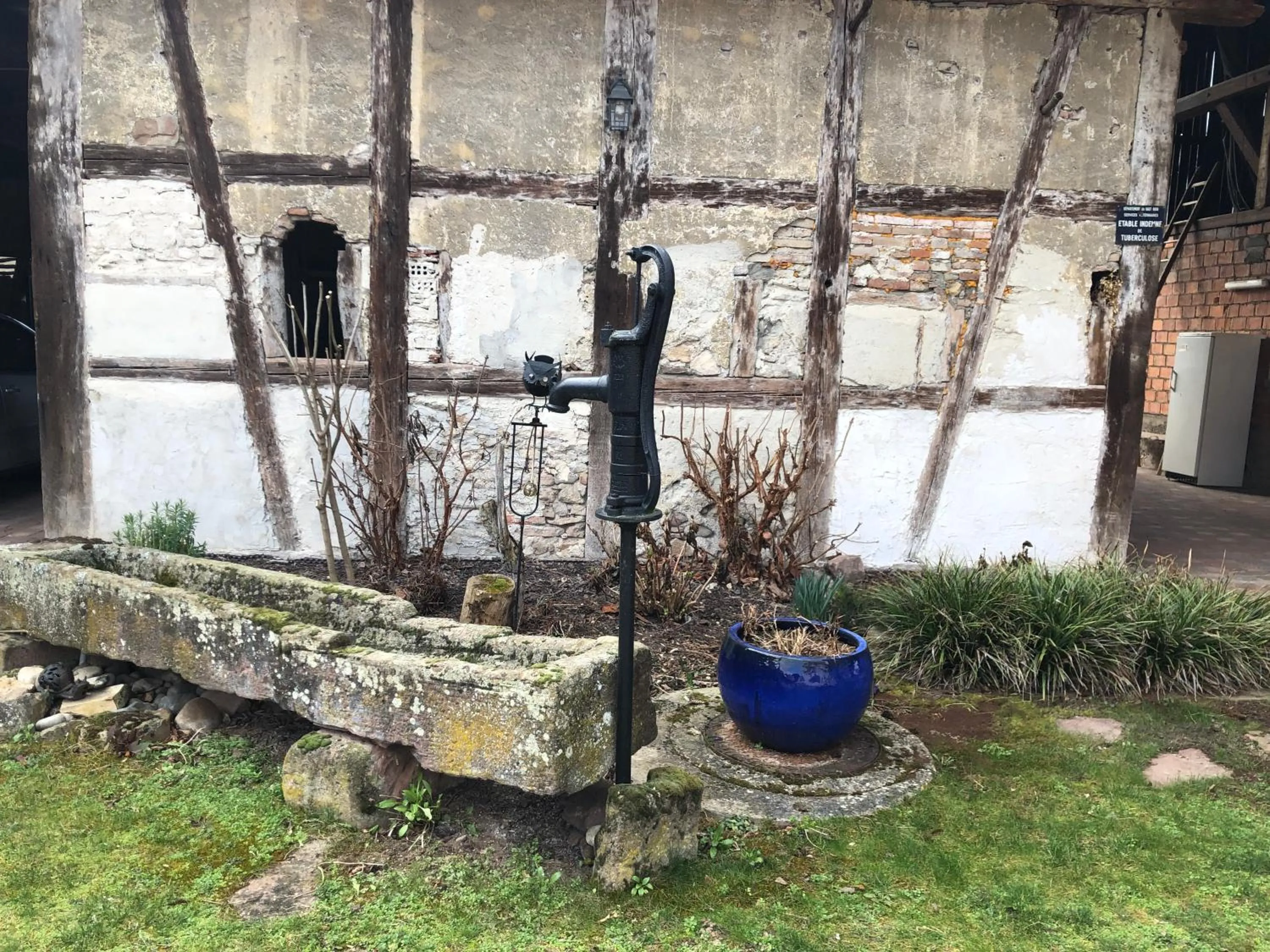 Garden view in La Maison Oberlin