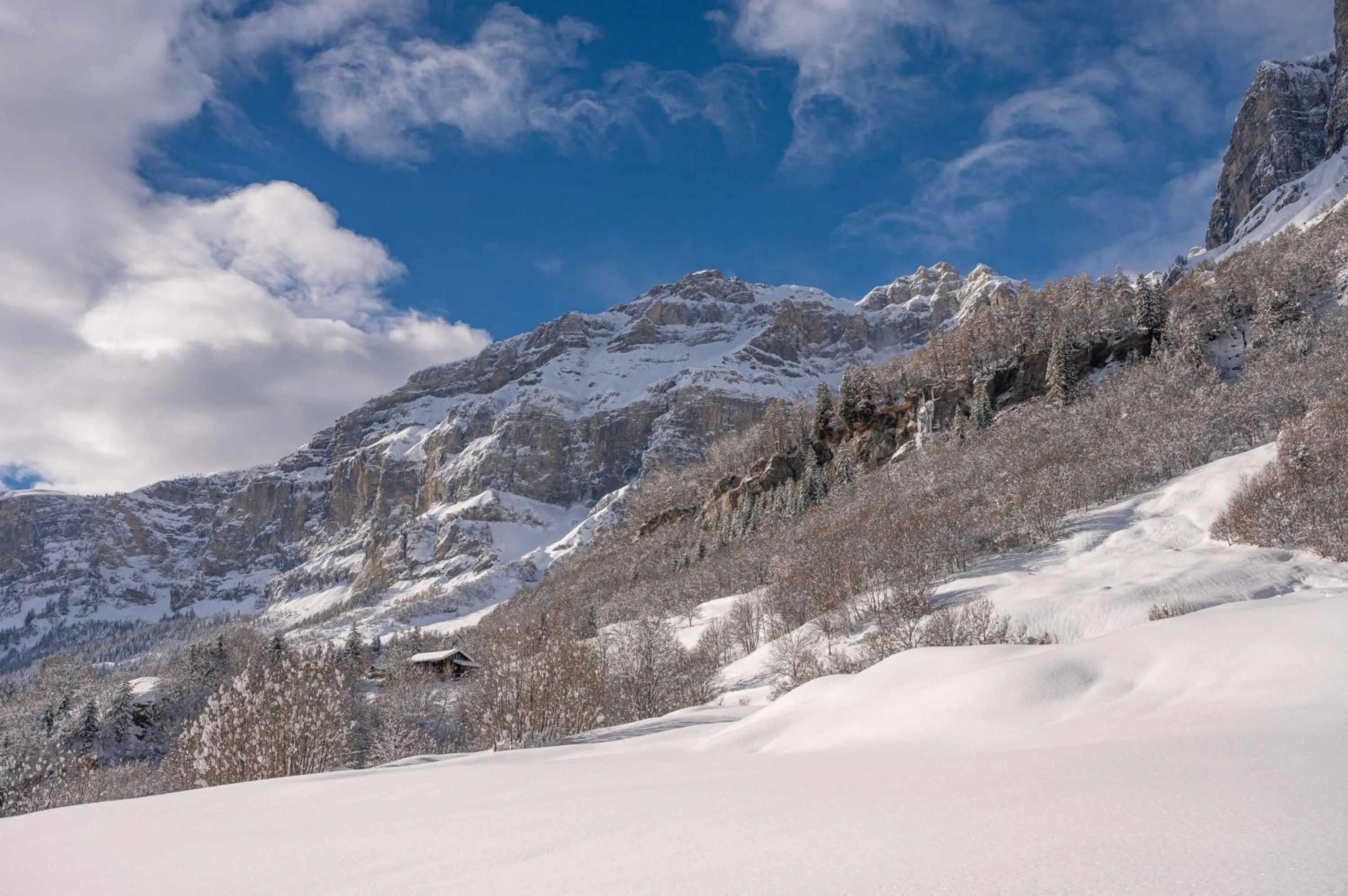 Winter in Grichting Hotel & Serviced Apartments